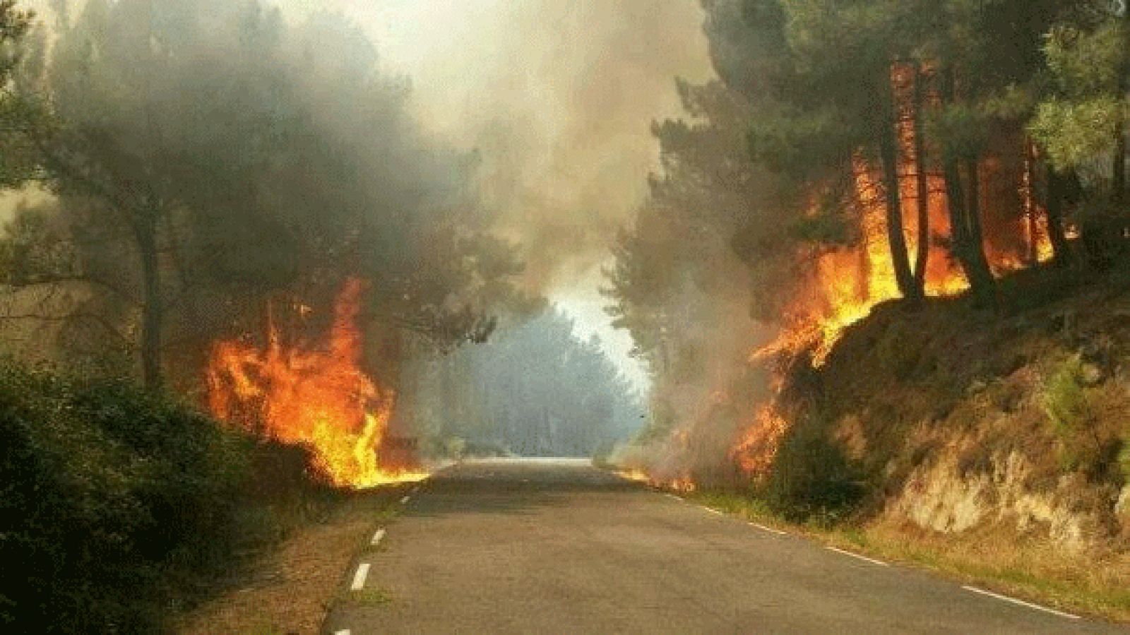 Incendio en el municipio abulense de Mijares, en el Alto Tiétar
