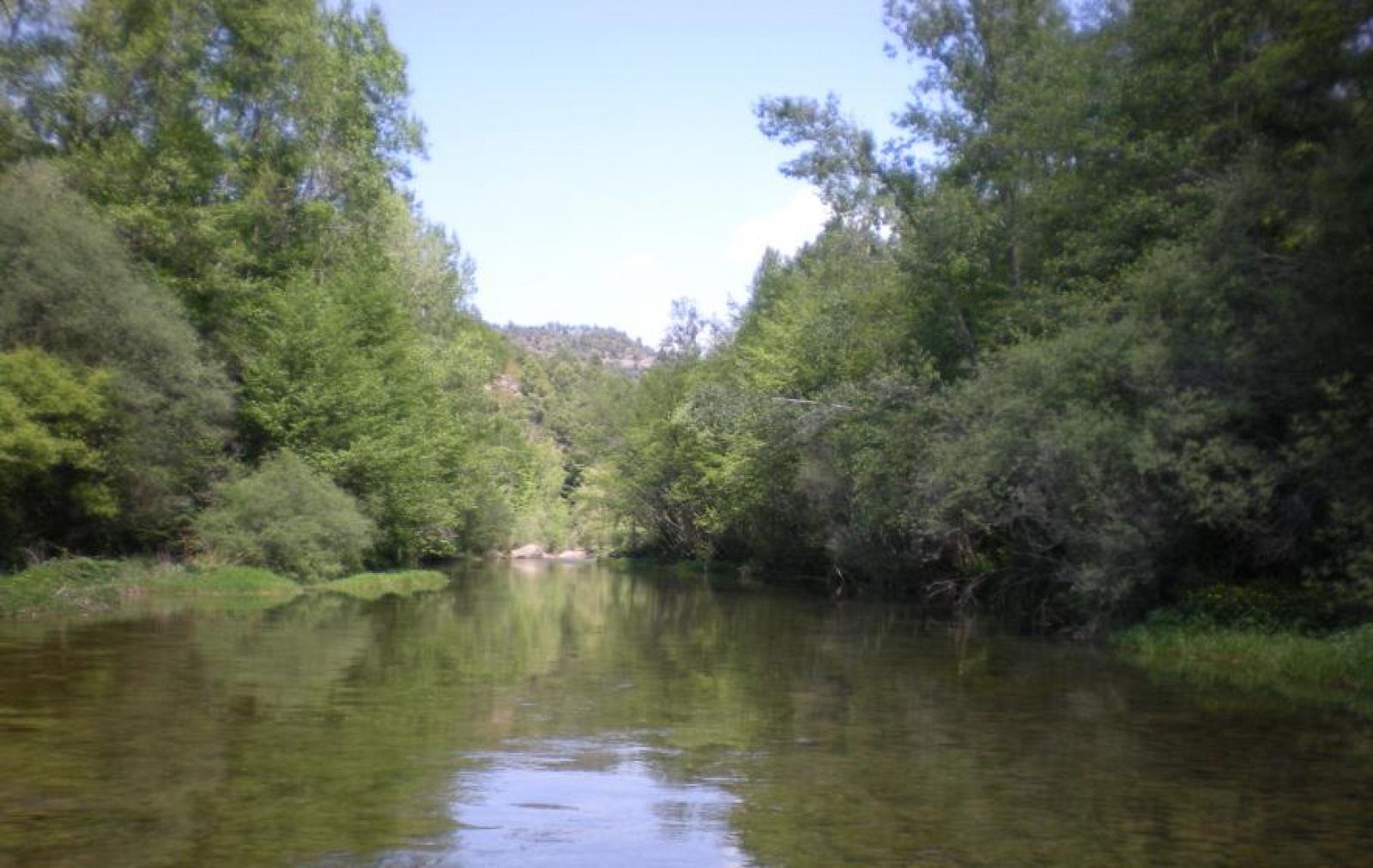 El Llobregat, un río salinizado.