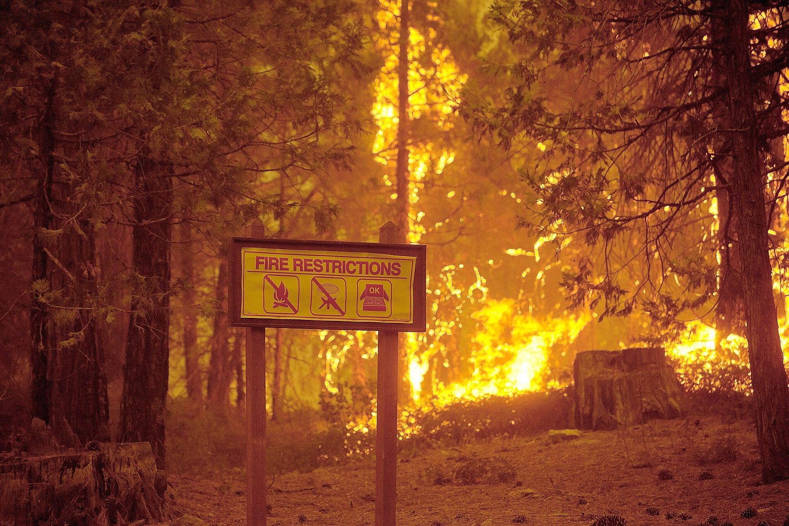 California wild fire near Yosemite