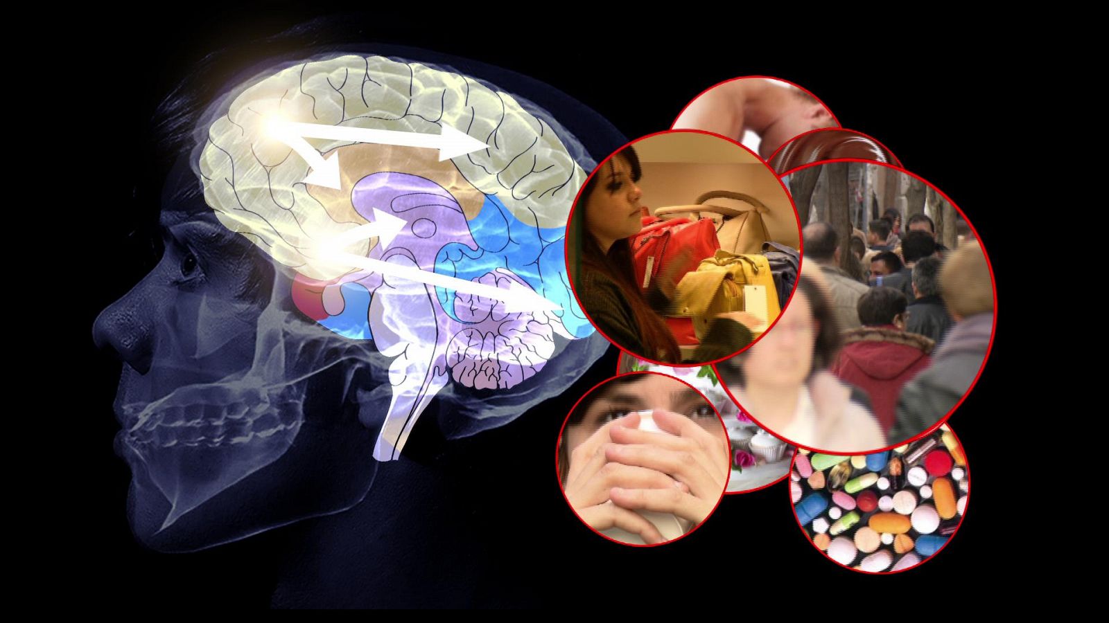 'Documentos TV' muestra cómo el cerebro es activado por estimulos sensoriales