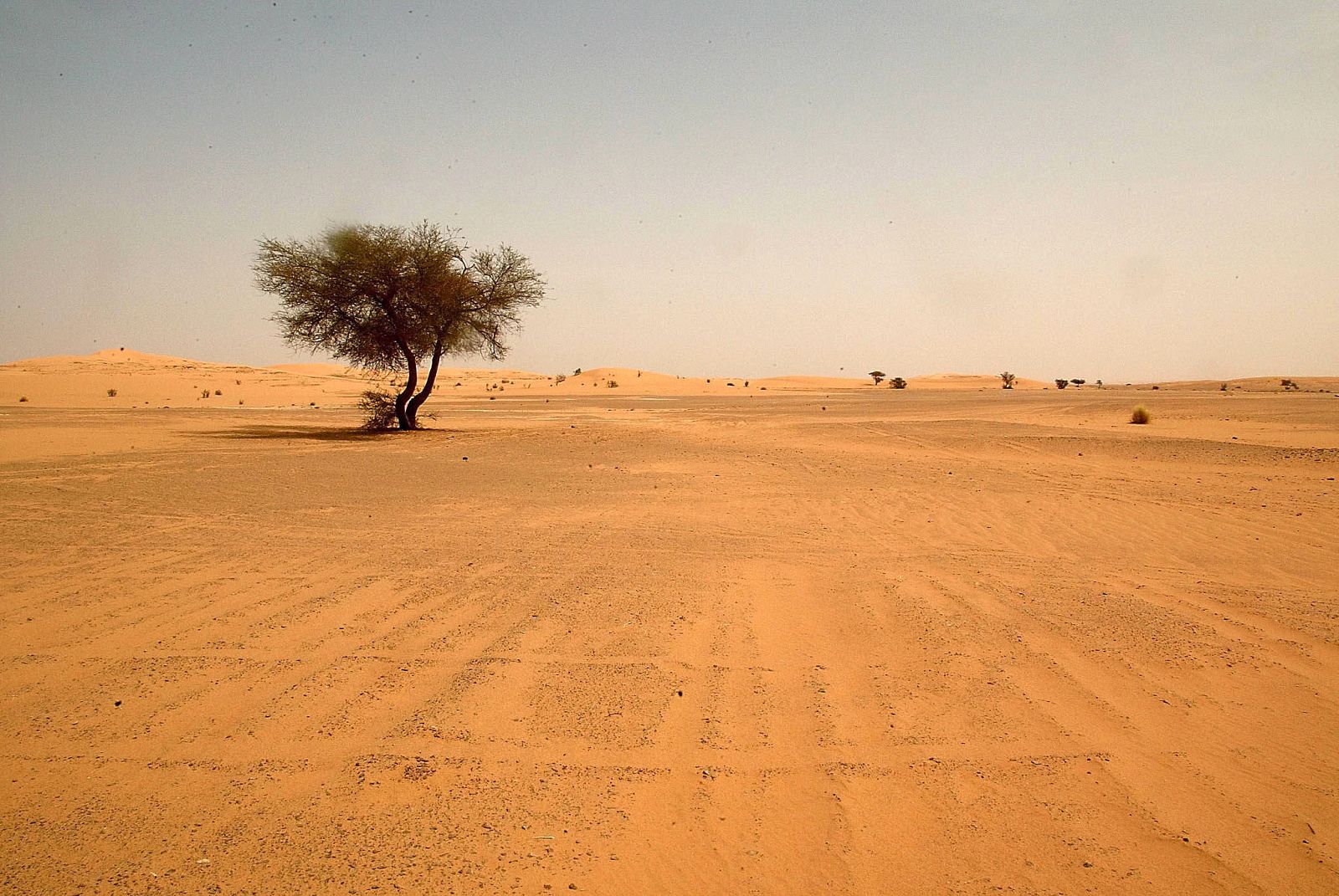 Imagen de archivo del desierto del Sáhara cerca de la ciudad de Illizi, en el sur de Argelia.