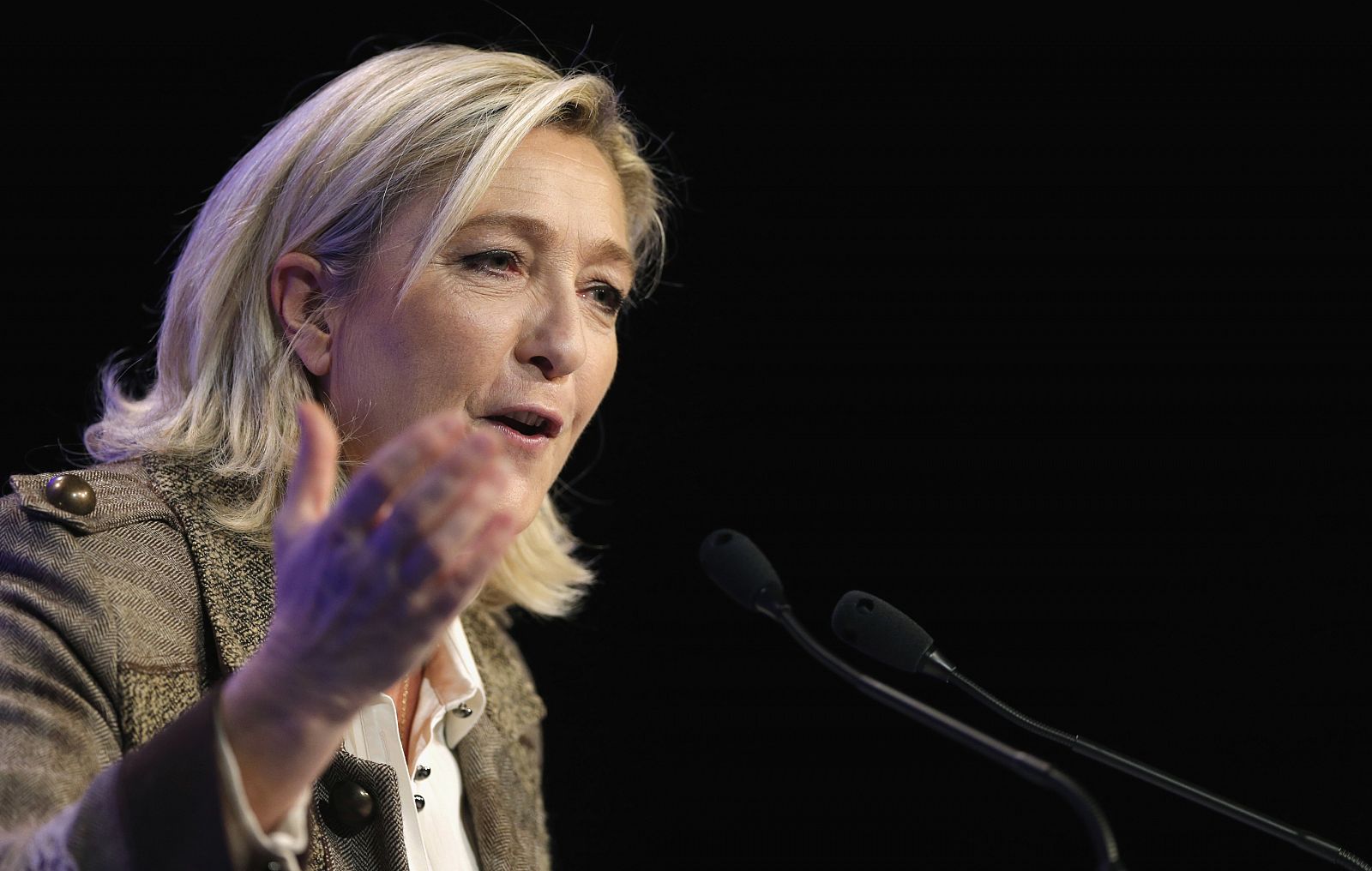 France's far-right National Front political party leader Marine Le Pen attends a party meeting in Paris