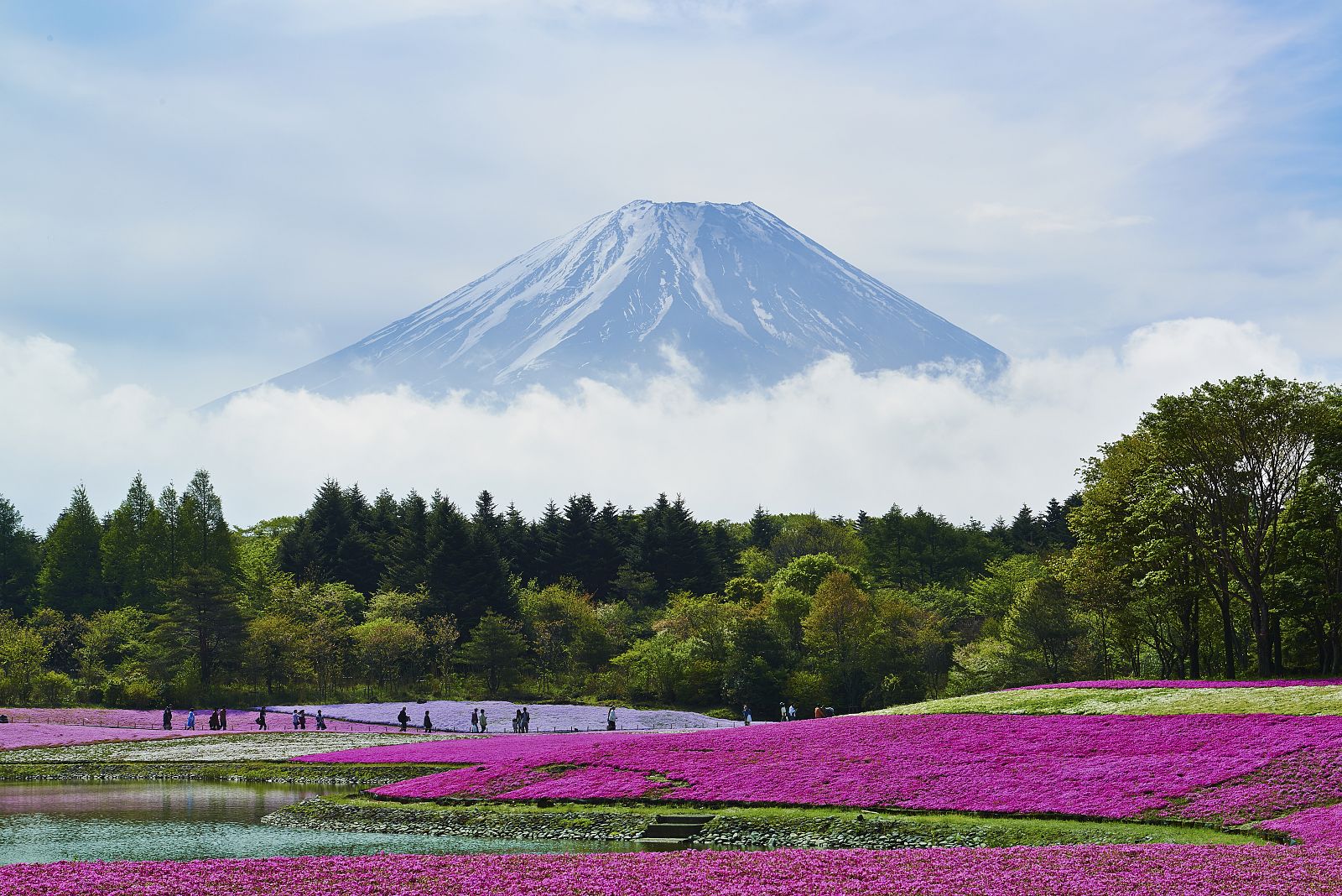 Monte Fuji en Japón