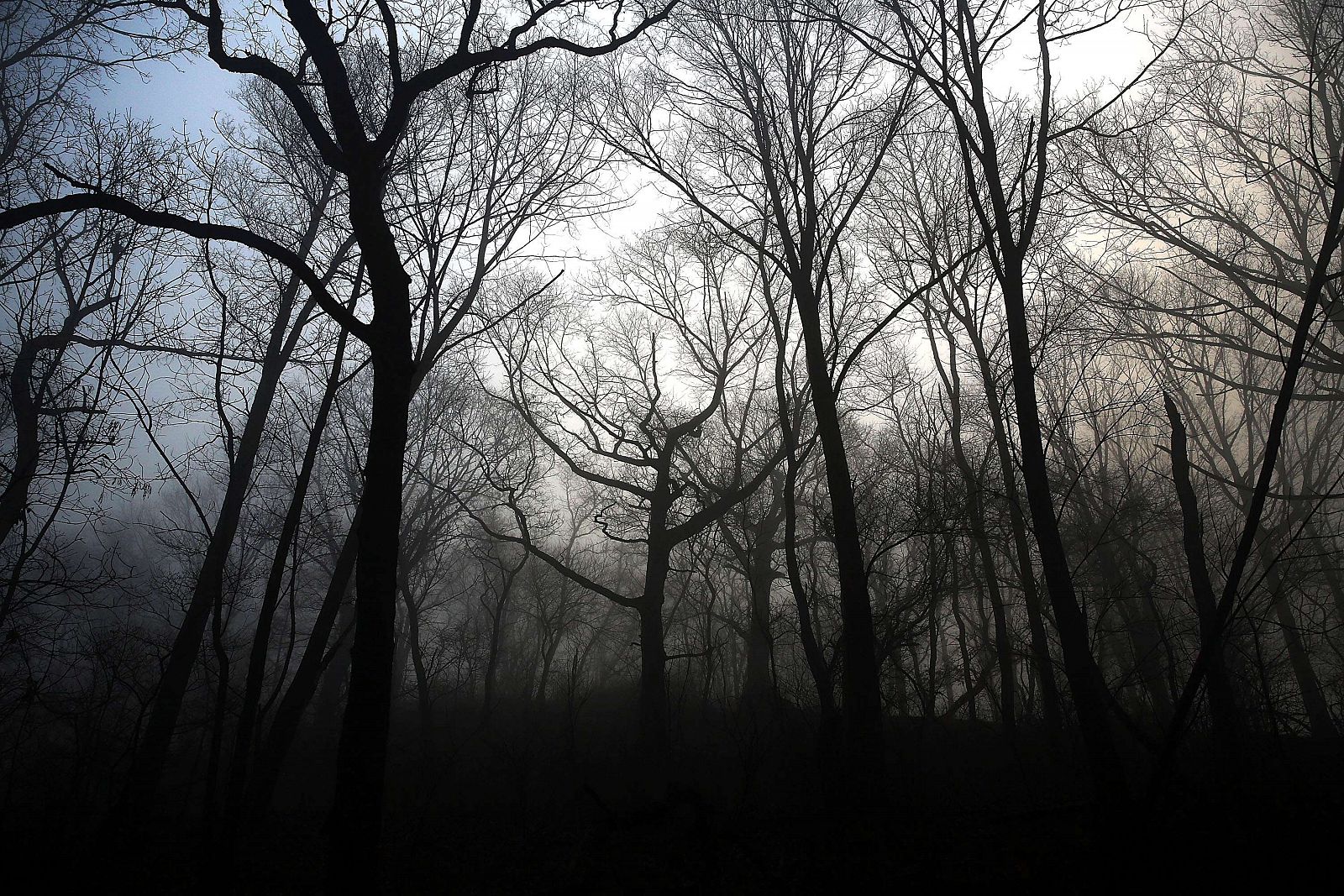 Fog Descends On Manhattan