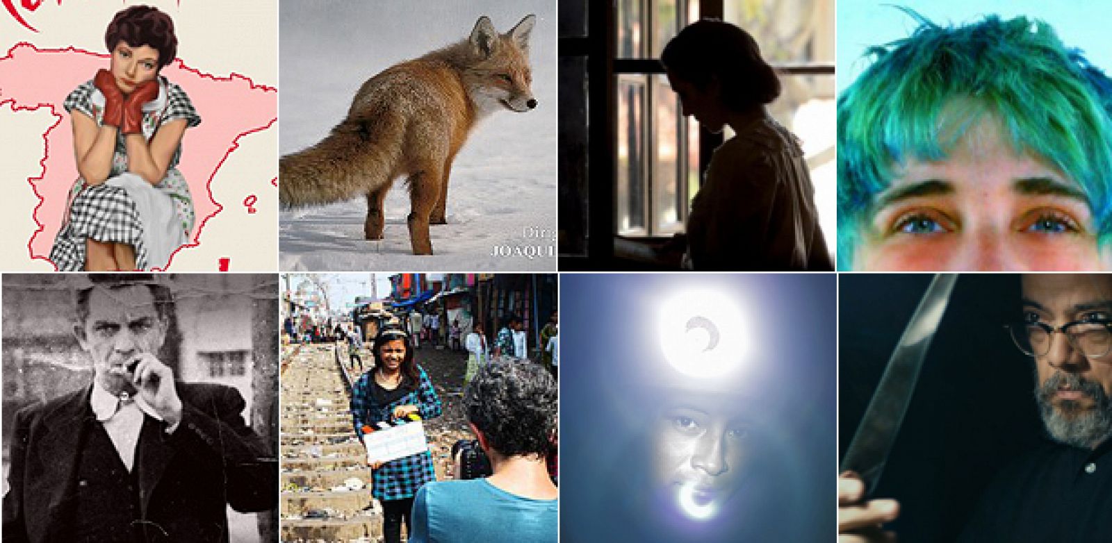 Nominados a los Goya 2014 a Mejor largometraje y cortometraje documental