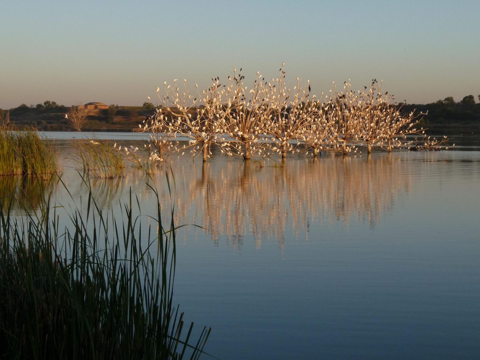 Imagen de uno de los humedales que defiende SEO/Birdlife.