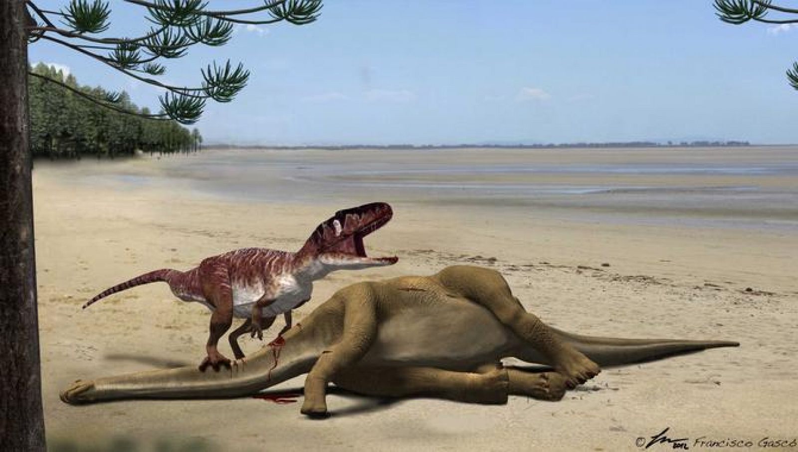 Infografía de un dinosaurio carnívoro megalosáurido alimentándose del saurópodo Turiasaurus riodevensis.