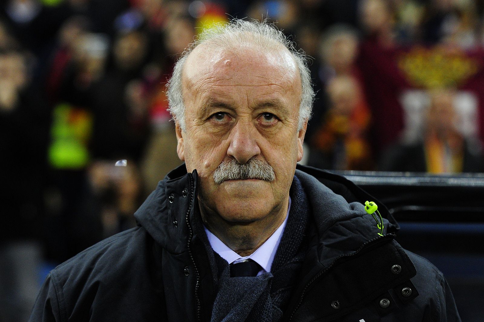 El seleccionador español, Vicente del Bosque