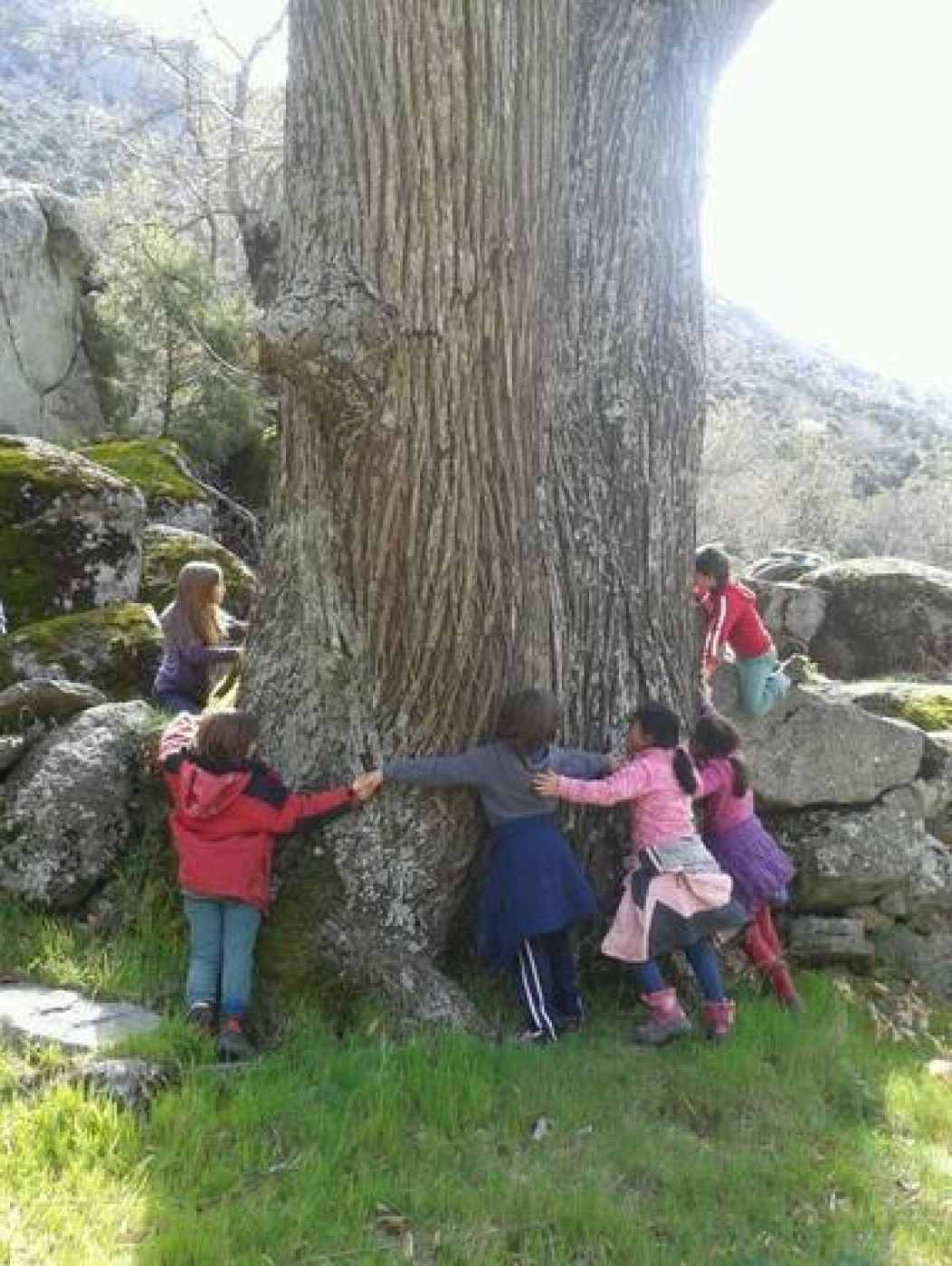 Niños abrazando un árbol en Zarzalejos (Madrid) el 4 de abril de 2014.  
