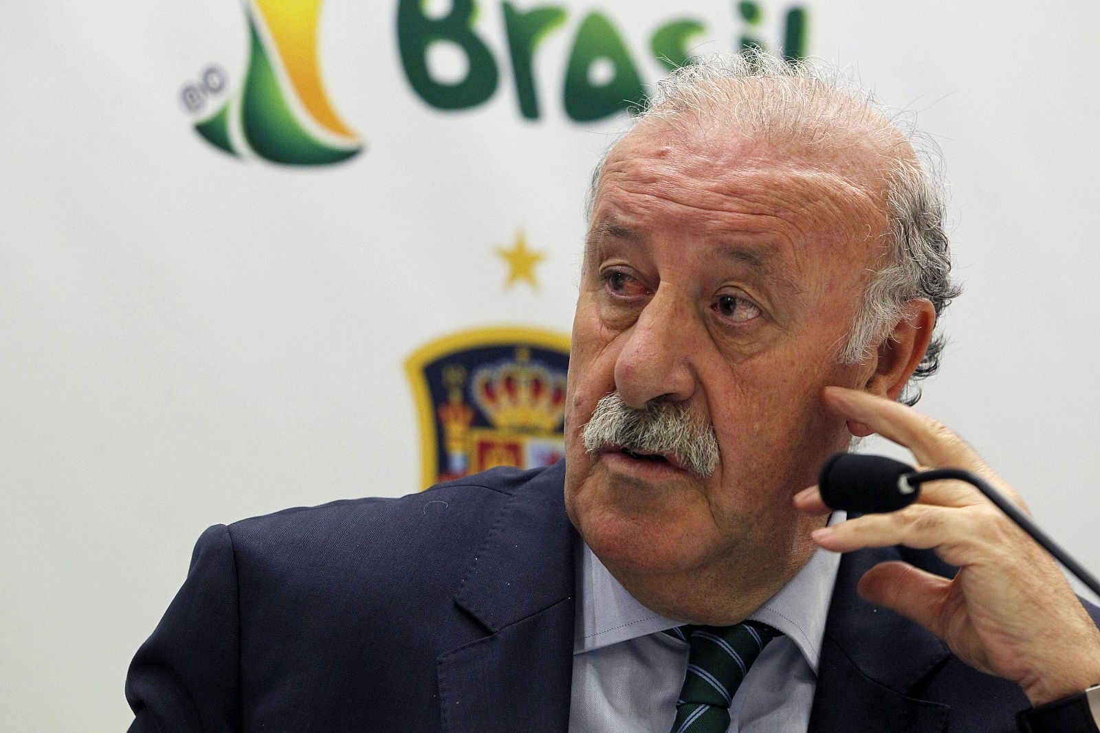 Vicente del Bosque