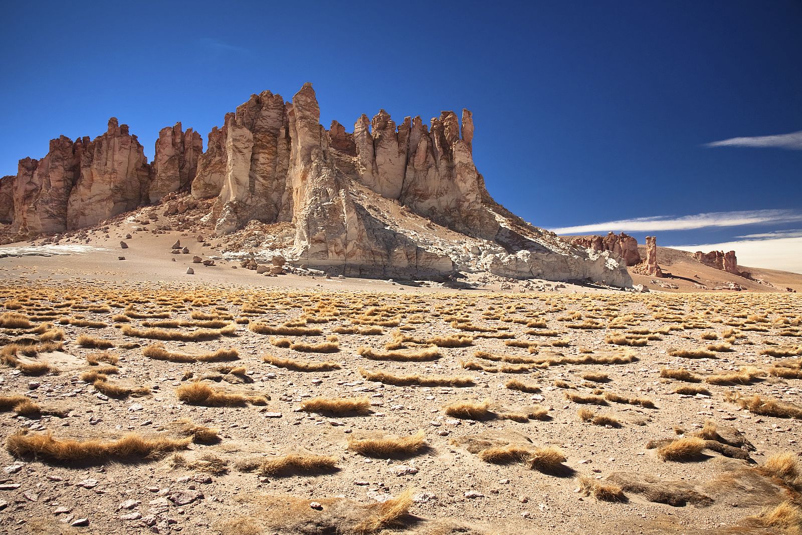 Salar en el desierto de Atacama en Chile