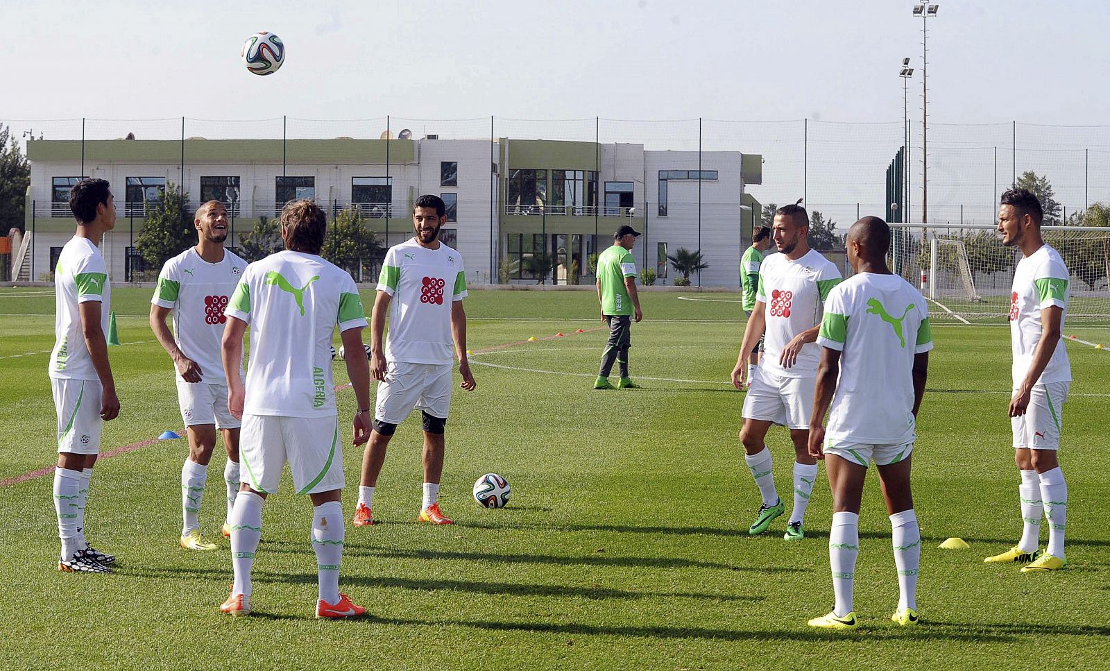 Varios jugadores de la selección nacional argelina participan en una sesión de entrenamiento