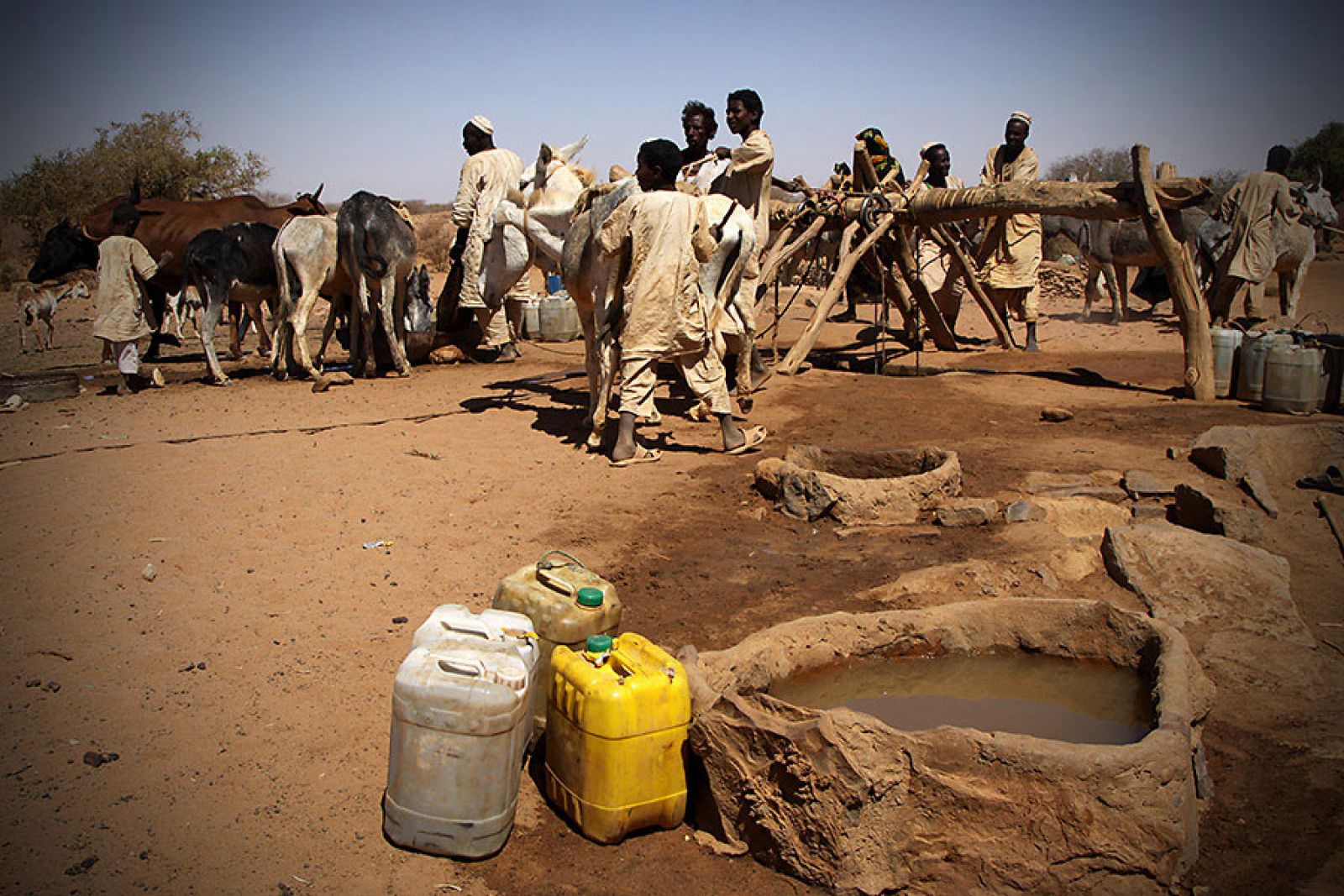Nómadas recogiendo agua en el desierto de Naqa
