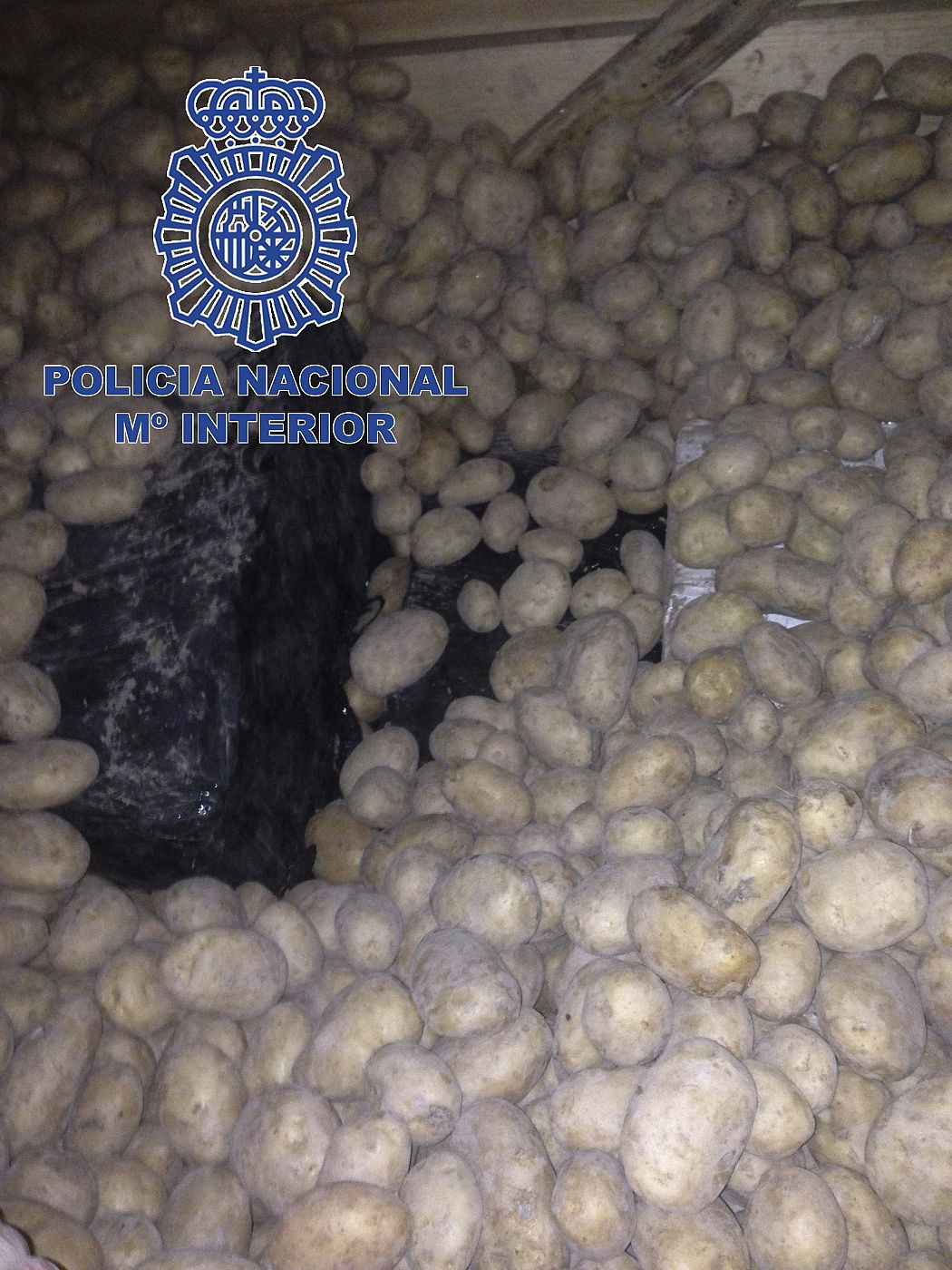 Fotografía facilitada por la Policía Nacional, que ha intervenido 350 kilos de cocaína de gran pureza entre un cargamento de patatas.