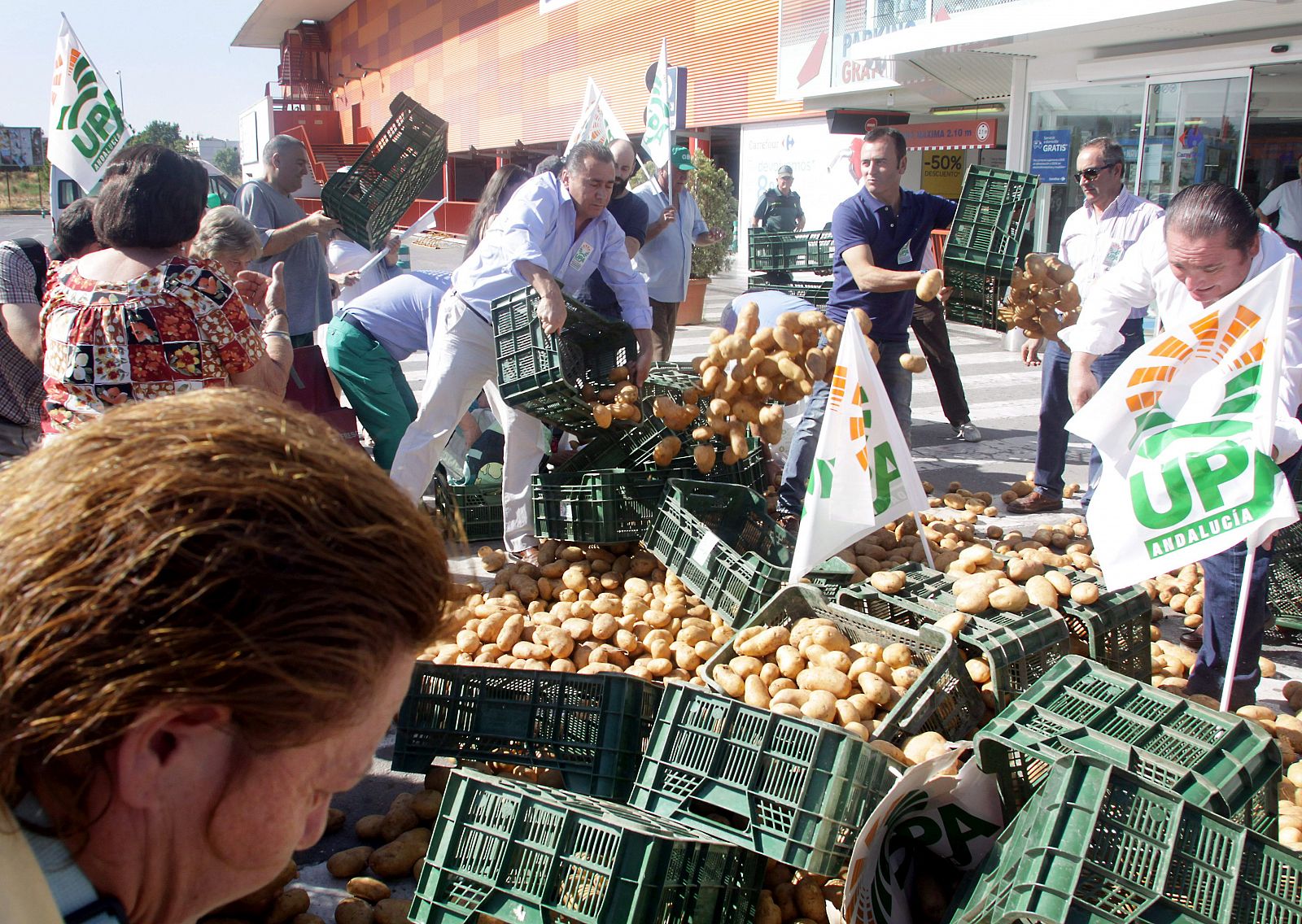 Granadinos recogen algunas de las patatas que la organización UPA ha arrojado a las puertas de un hipermercado de Pulianas (Granada)