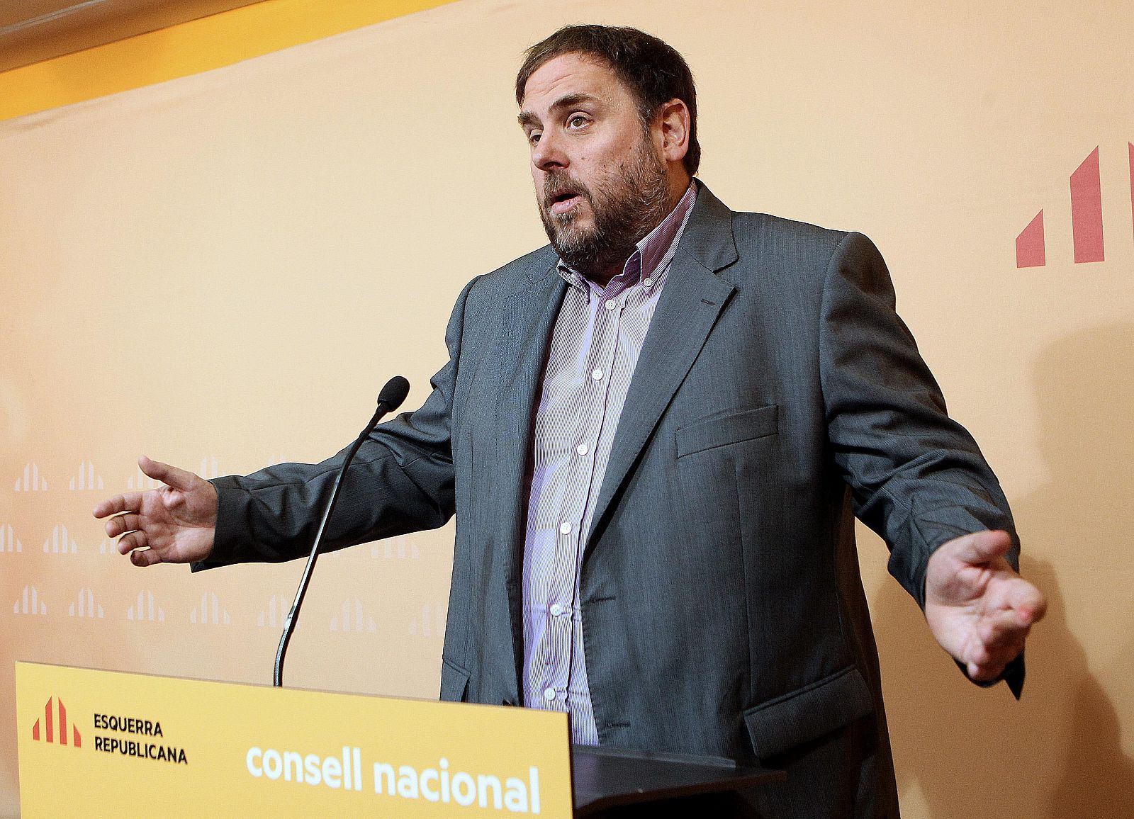 El presidente de ERC, Oriol Junqueras, durante su intervencion en el consejo nacional de la formación independentista.