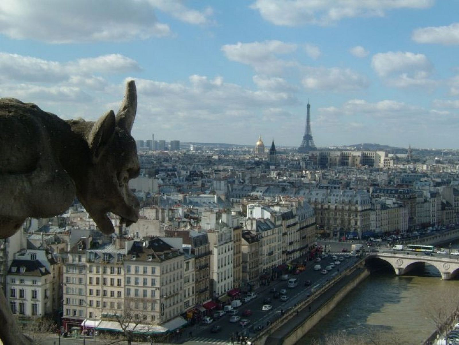 Imagen de París desde la catedral de Notre Dame