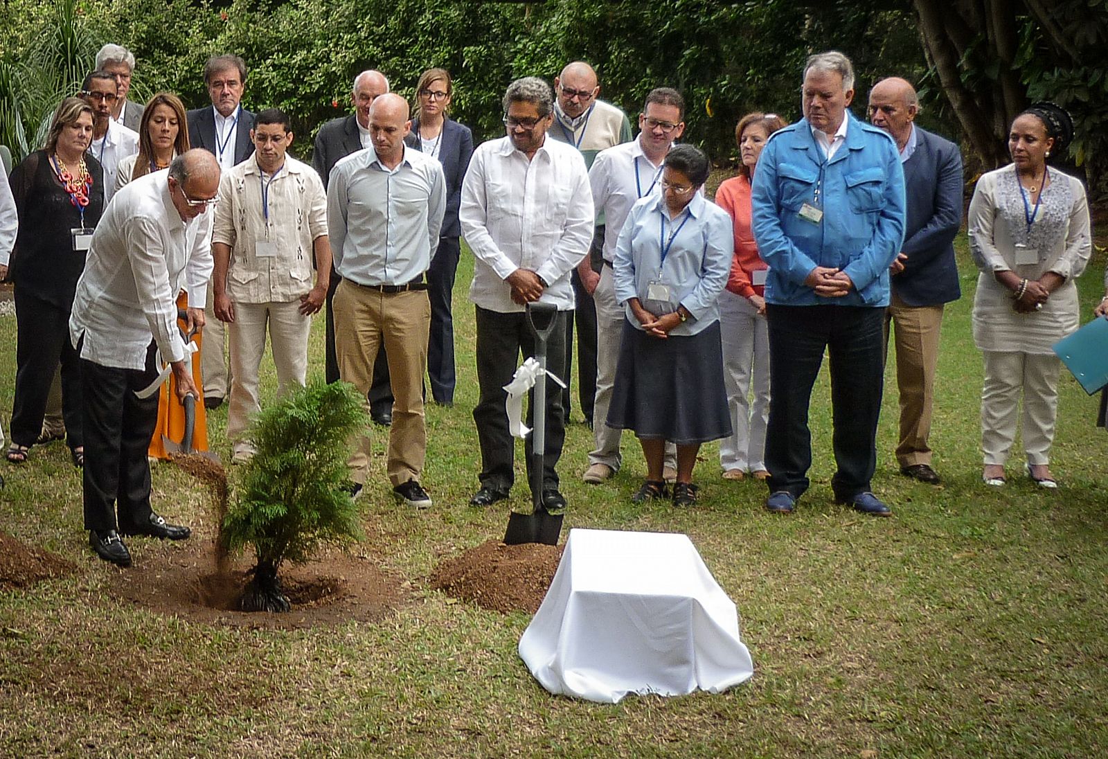 Humberto de la Calle, que encabeza la delegación del Gobierno colombiano en las negociaciones con las FARC, planta un árbol en La Habana.