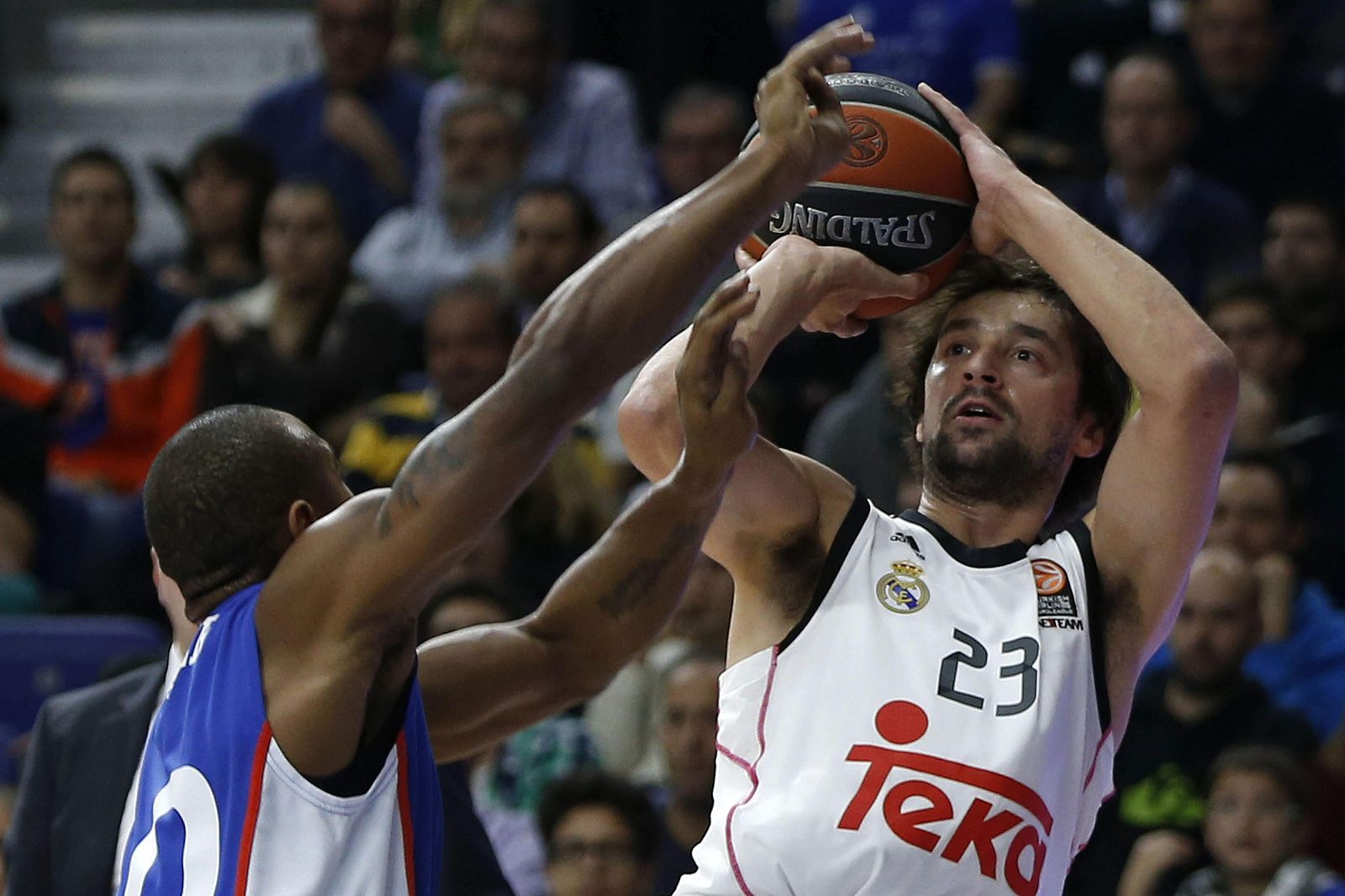 REAL MADRID - ANADOLU EFES