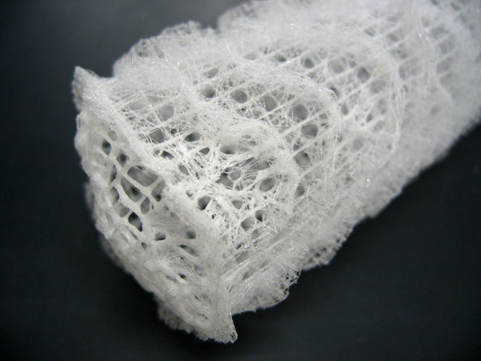 Esqueleto de una esponja Euplectella. Las espículas de algunas hexactinélidas forman un entramado.