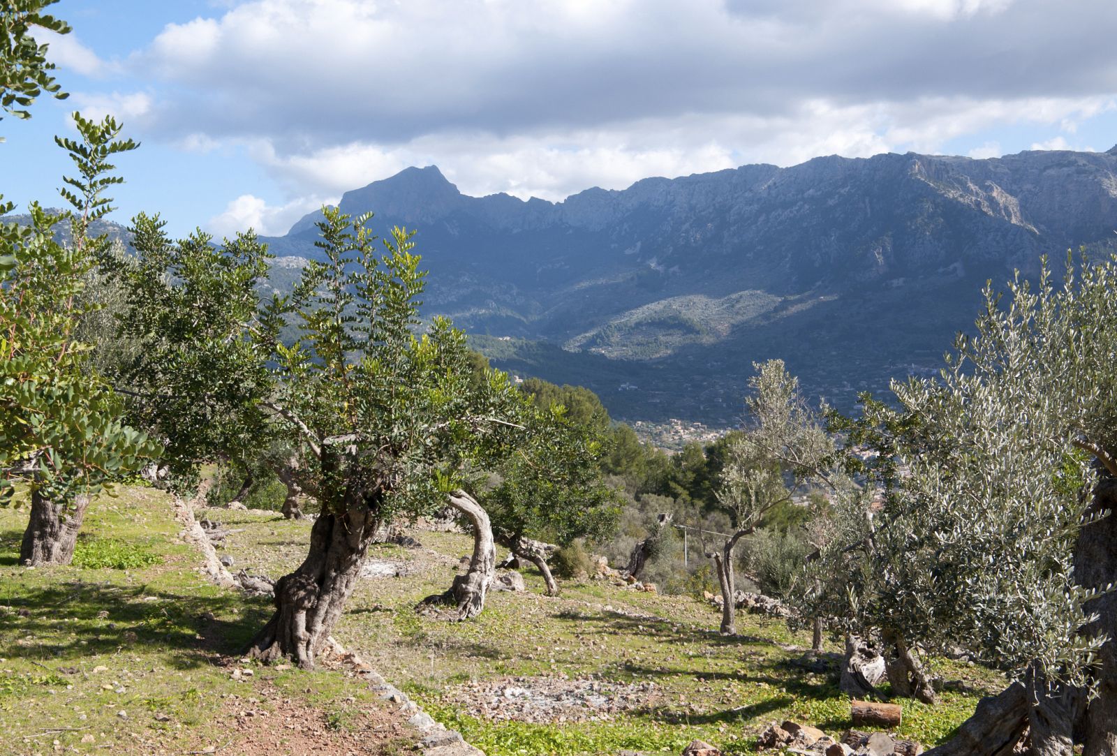 Montañas en Sóller (Mallorca).