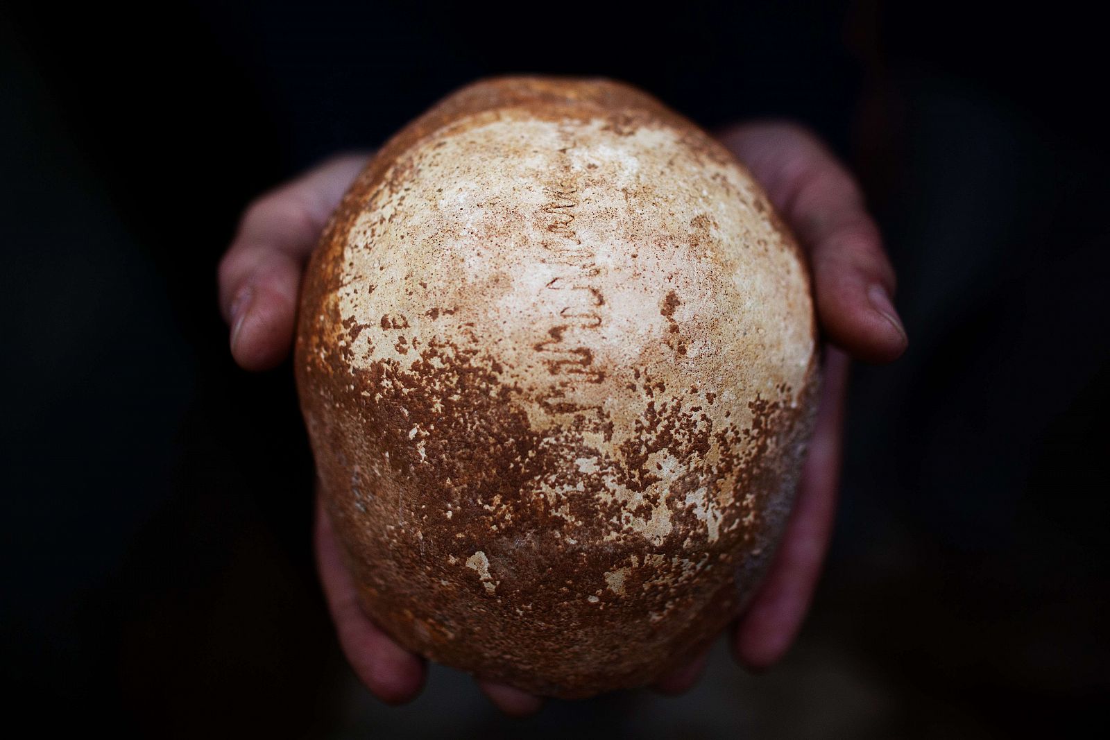 El cráneo parcial de 55.000 años encontrado en la cueva al oeste de Galilea, en Israel.