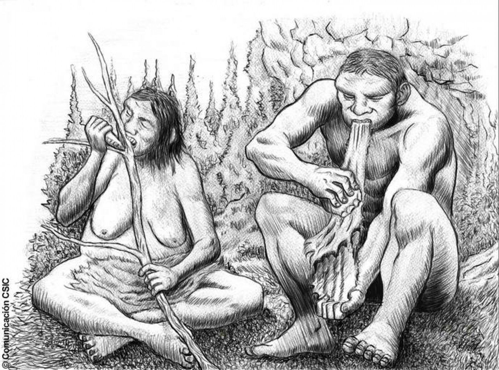 Recreación de dos individuos neandertales ayudándose de la boca para realizar tareas cotidianas