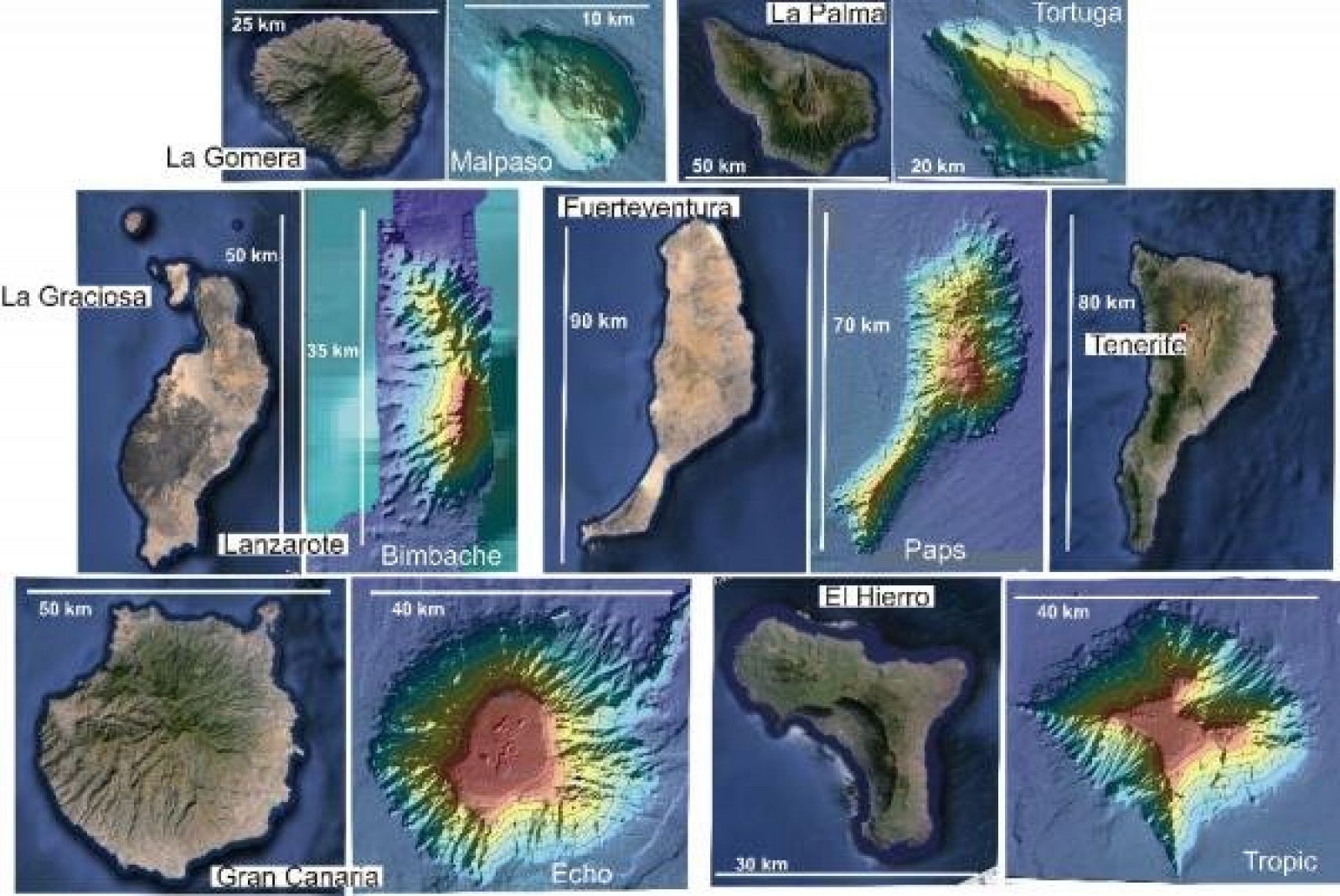 Imagen de los ocho nuevos montes submarinos en Canarias.