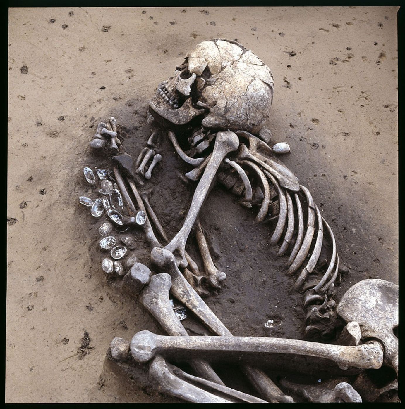 Esqueleto de un hombre enterrado que se asocia con el neolítico medio en Alemania.