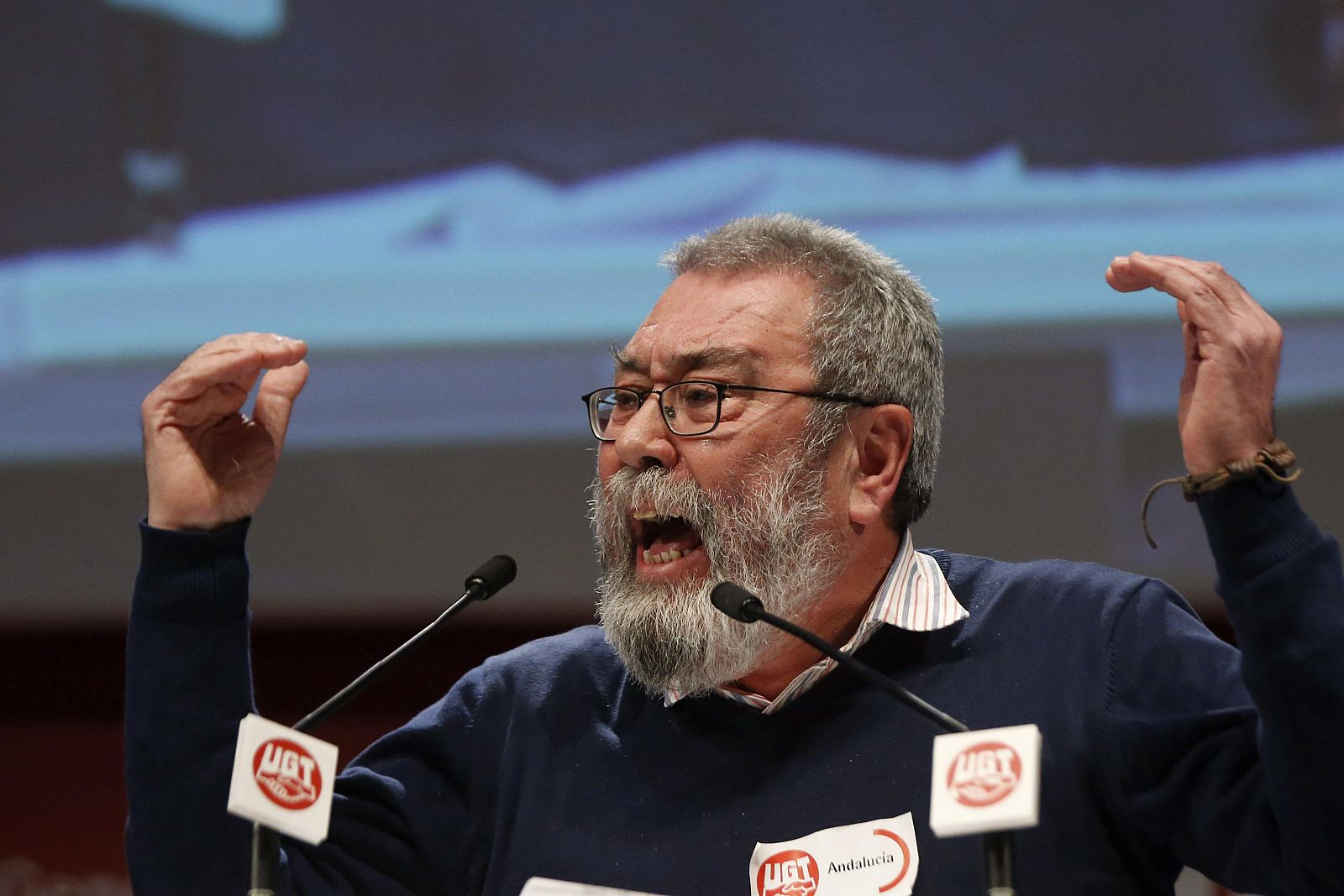 El secretario general de UGT, Cándido Méndez, durante su intervención en la de la II Asamblea Confederal Consultiva del sindicato, celebrada en Madrid.