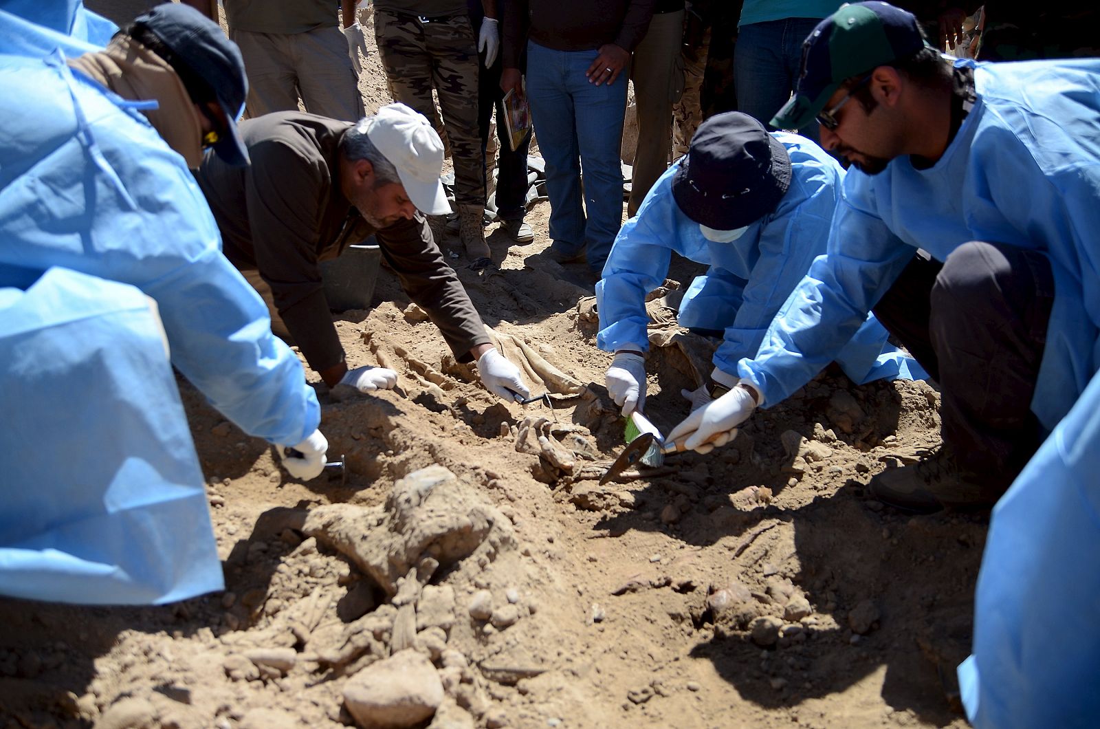 Members from the Iraqi forensic team search to extract the remains of the bodies belonging to Shi'ite soldiers from Camp Speicher who have been killed by Islamic State militants at a mass grave in Tikrit