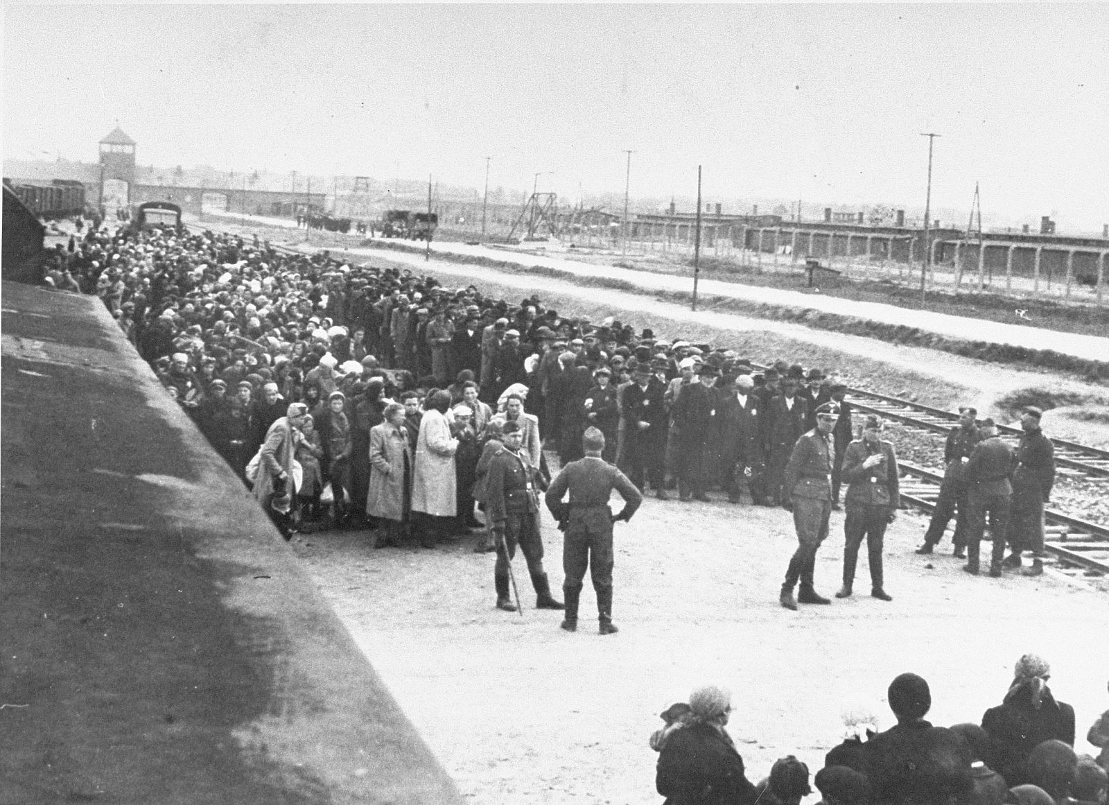 La selección de los judíos húngaros en Auschwitz-Birkenau, mayo de 1944. Imagen del libro 'Hanns y Rudolf' (Galxia Gutenberg).