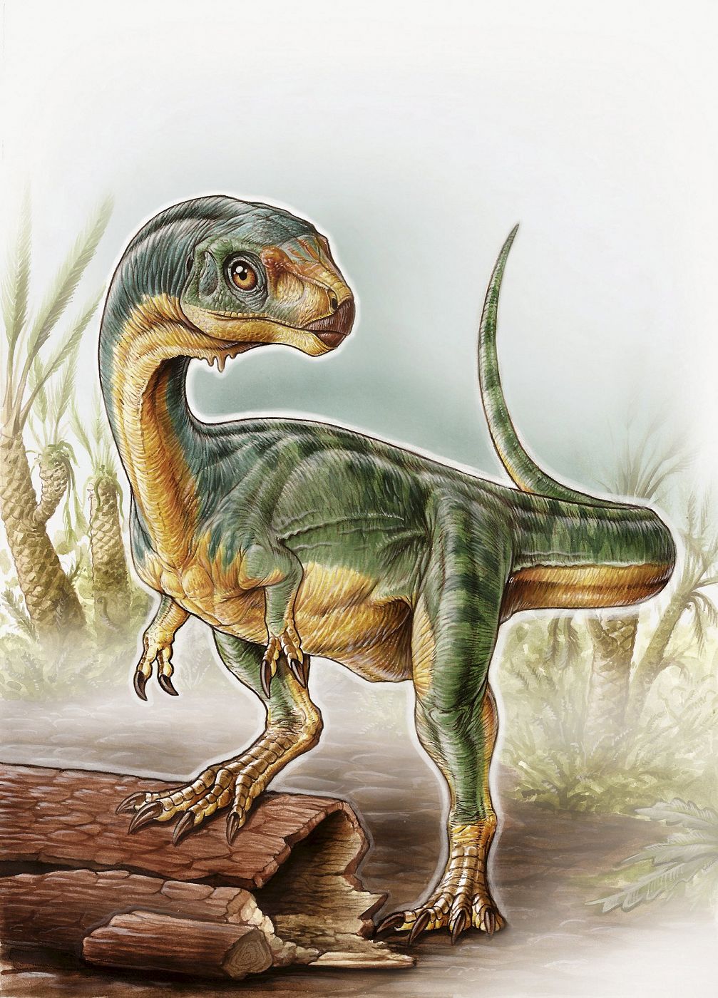 University of Birmingham handout illustration shows an artist's depiction of the Chilesaurus diegosuarezi
