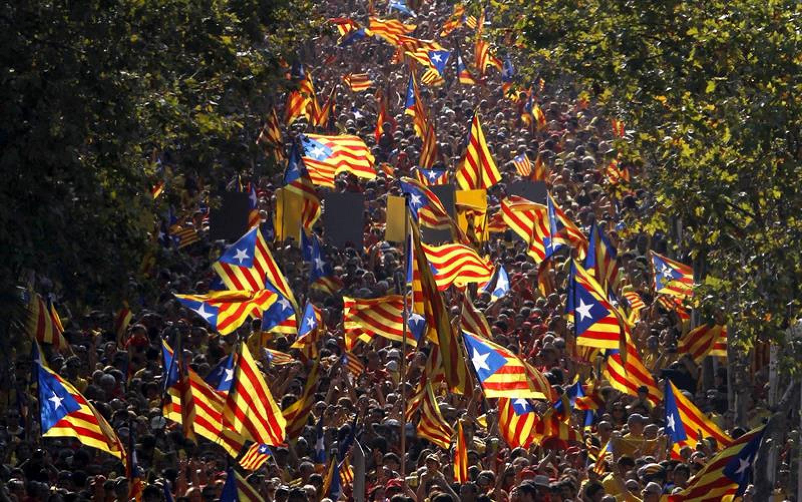 Banderas independentistas catalanas en la manifestación de la Diada de 2014