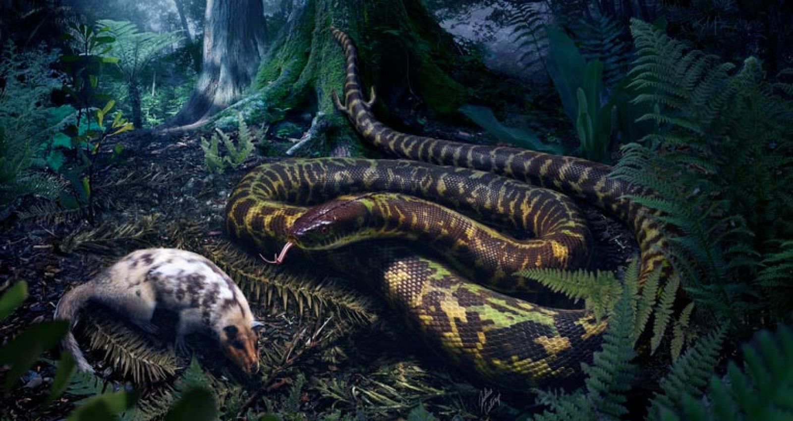 Ilustración de la serpiente primitiva en la que aparecen sus extremidades inferiores