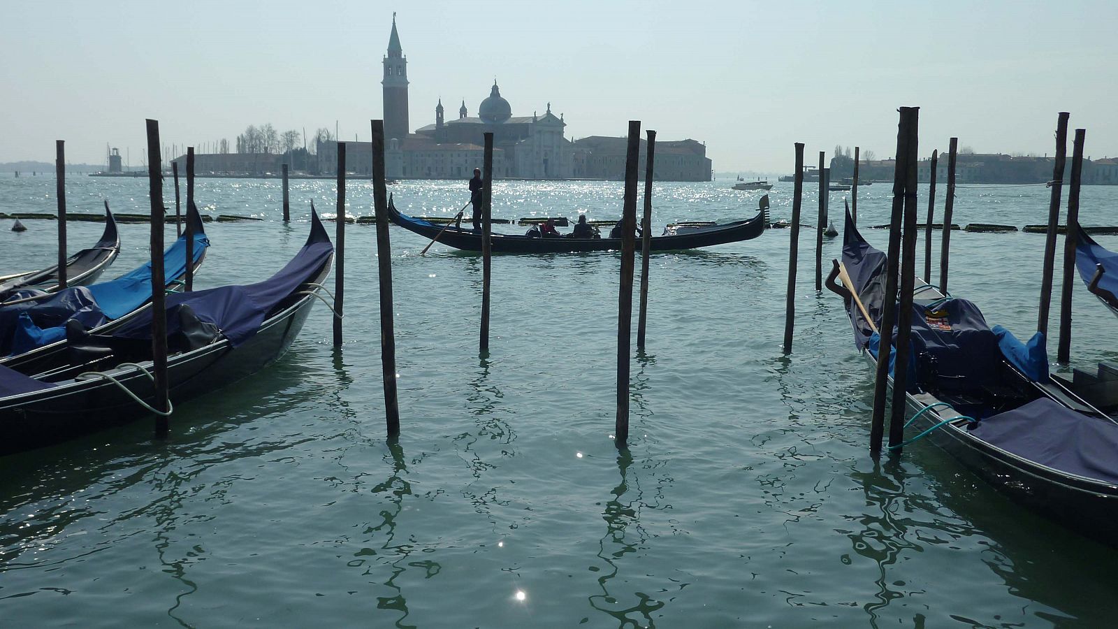 'Cara Venecia'