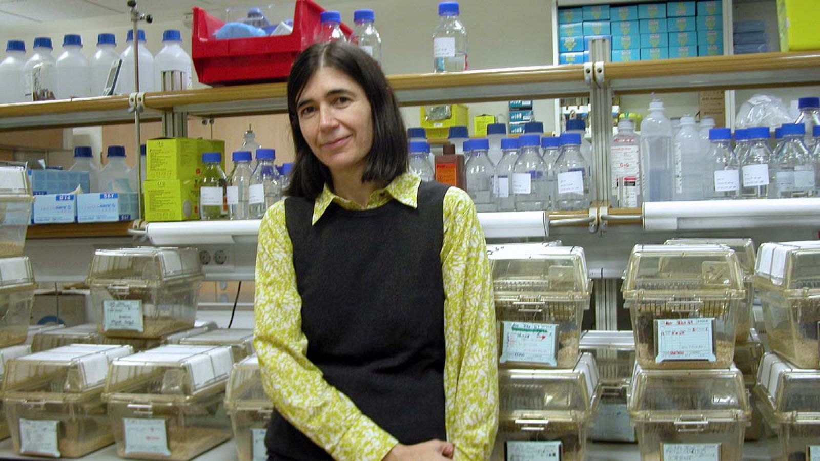 La directora del Centro Nacional de Investigaciones Oncológicas, María Blasco, en una foto de archivo.