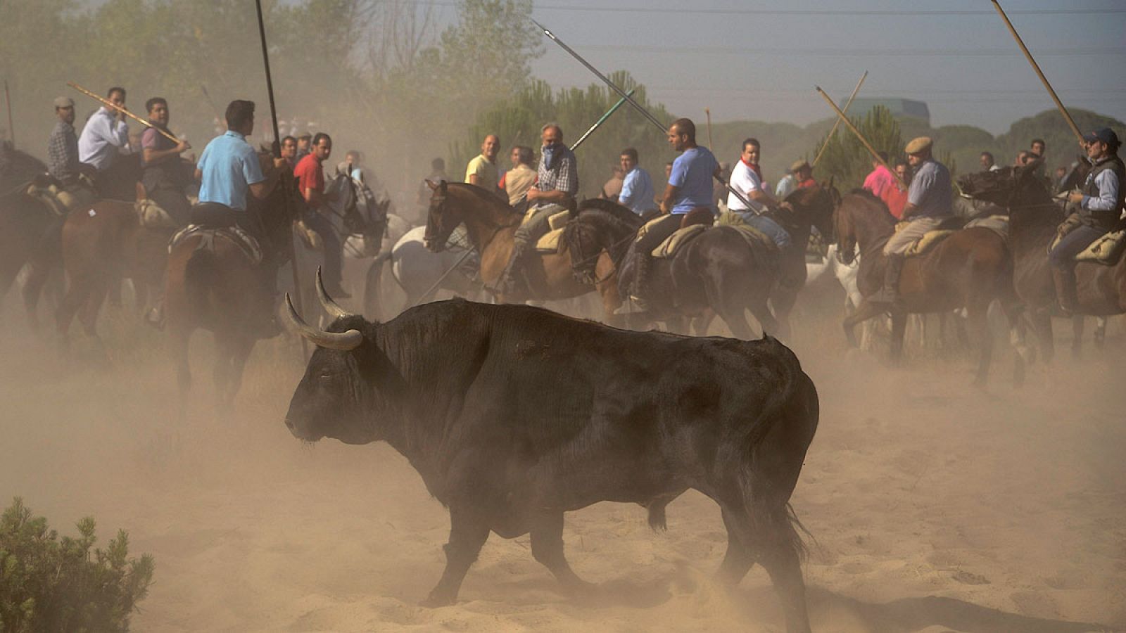 Imagen de archivo de la celebración del Toro de la Vega de Tordesillas, en Valladolid.