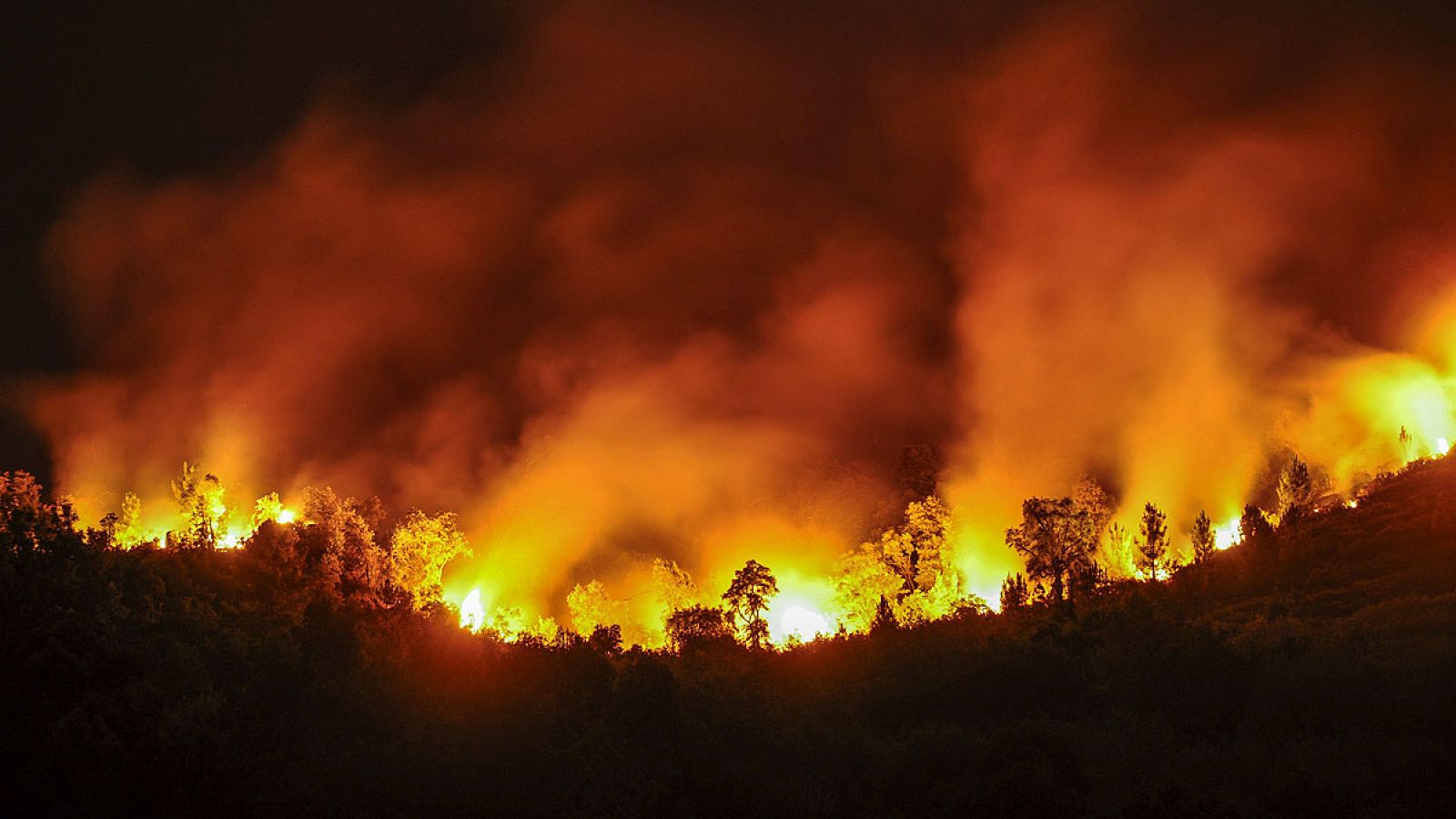 Vista del incendio forestal registrado en las afueras de la ciudad de Ourense