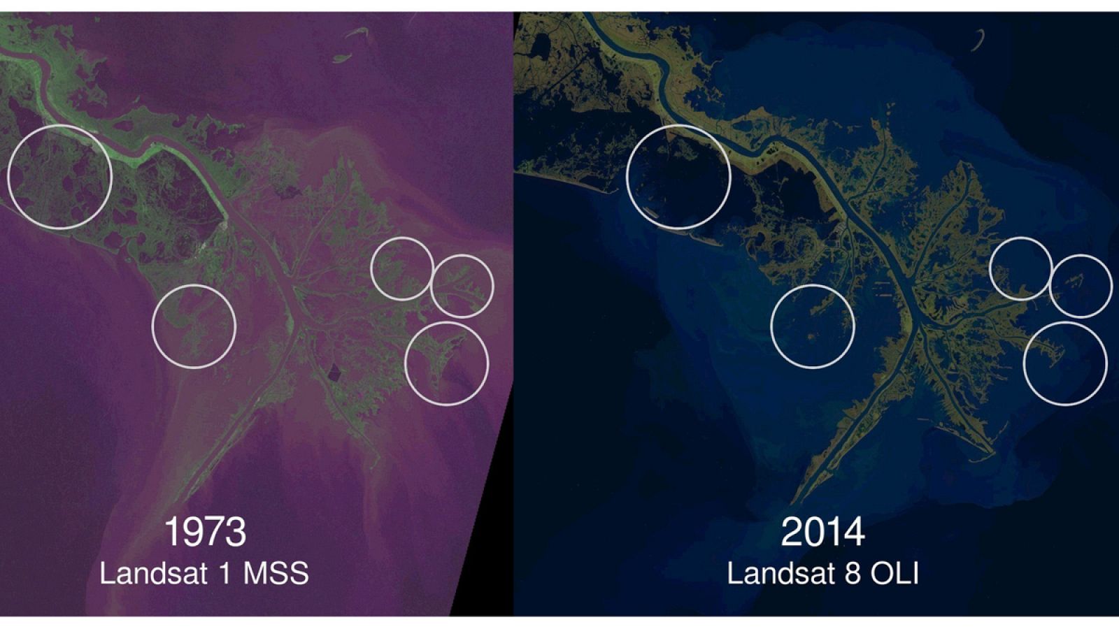 Imagen de las tierras costeras y la pérdida de humedales del delta del río Mississippi tras cuatro décadas, según lo observado por Landsat