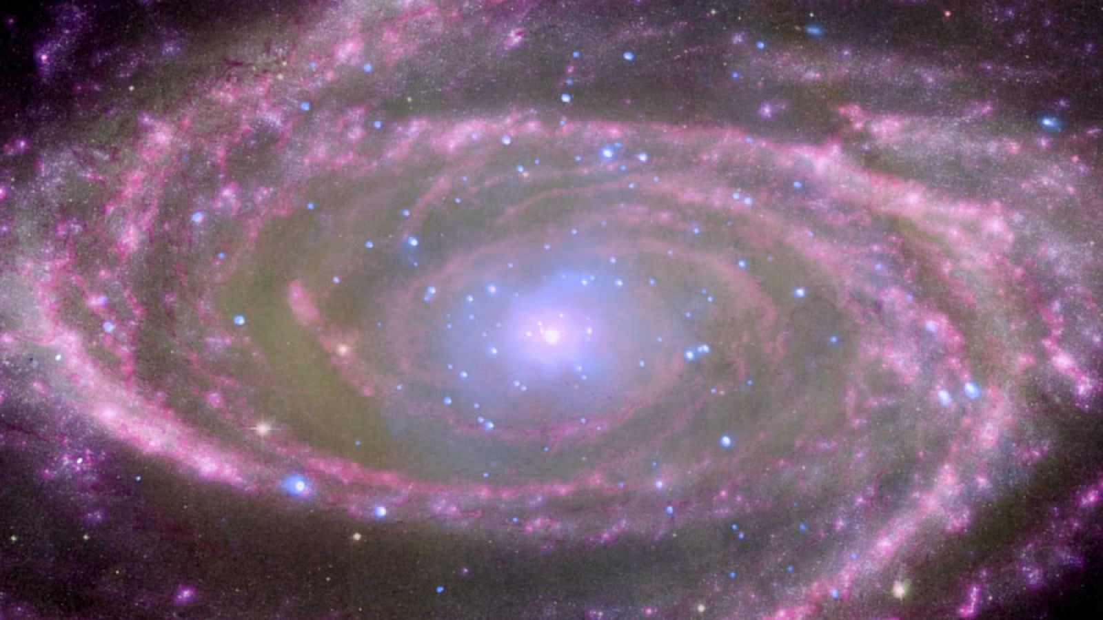 Agujero negro en el centro de la galaxia M81
