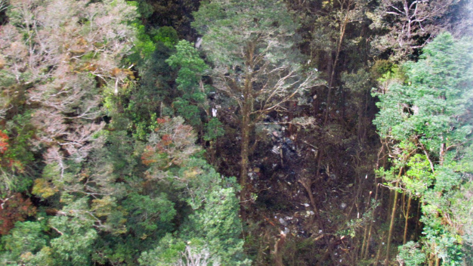 Vista aérea facilitada por los servicios de rescate indonesios de la zona donde se estrelló en avión en la isla de Papúa.