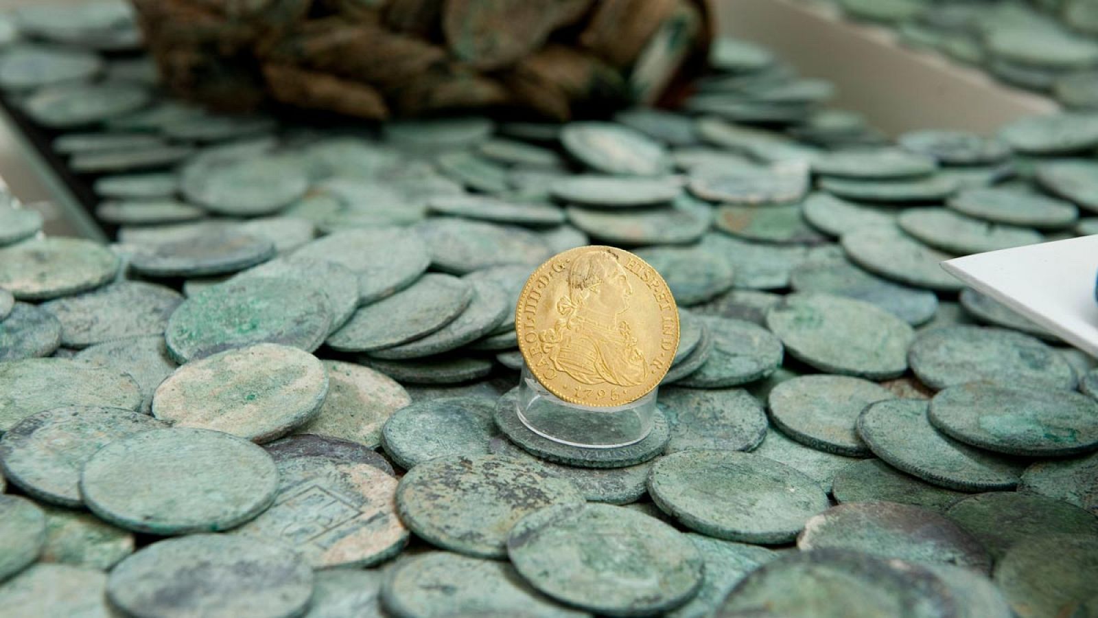 Una muestra de las monedas halladas en el pecio de 'Nuestra Señora de las Mercedes', en exposición en el Museo Nacional de Arqueología Subacuática