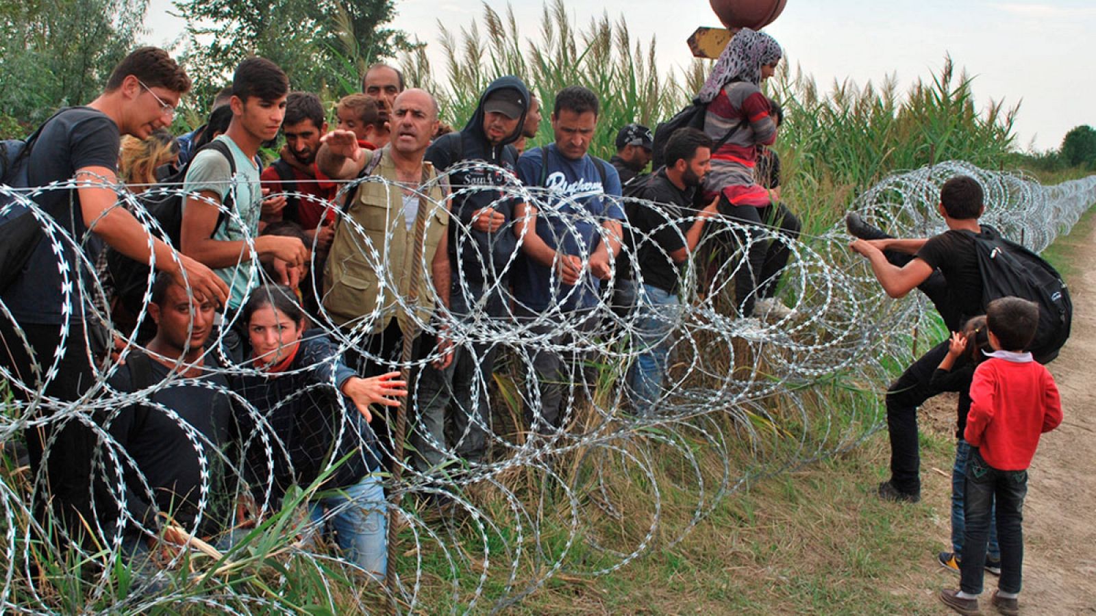 Refugiados sirios intentan saltar la alambrada de la frontera entre Hungría y Serbia