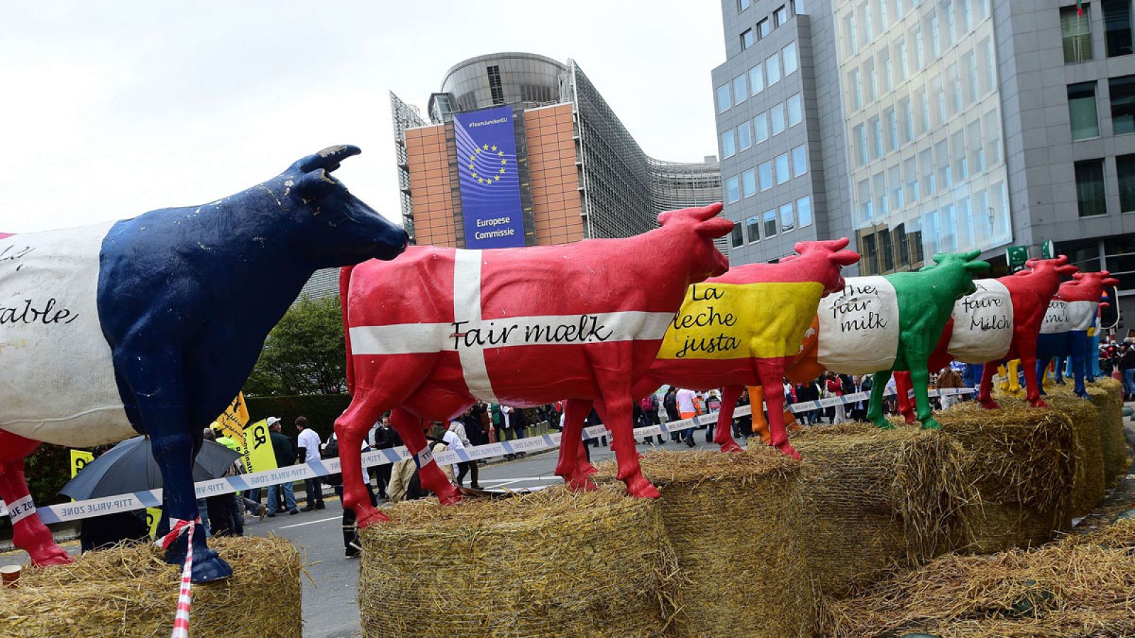 Figuras de vacas pintadas con los colores de los distintos países de la UE en Bruselas