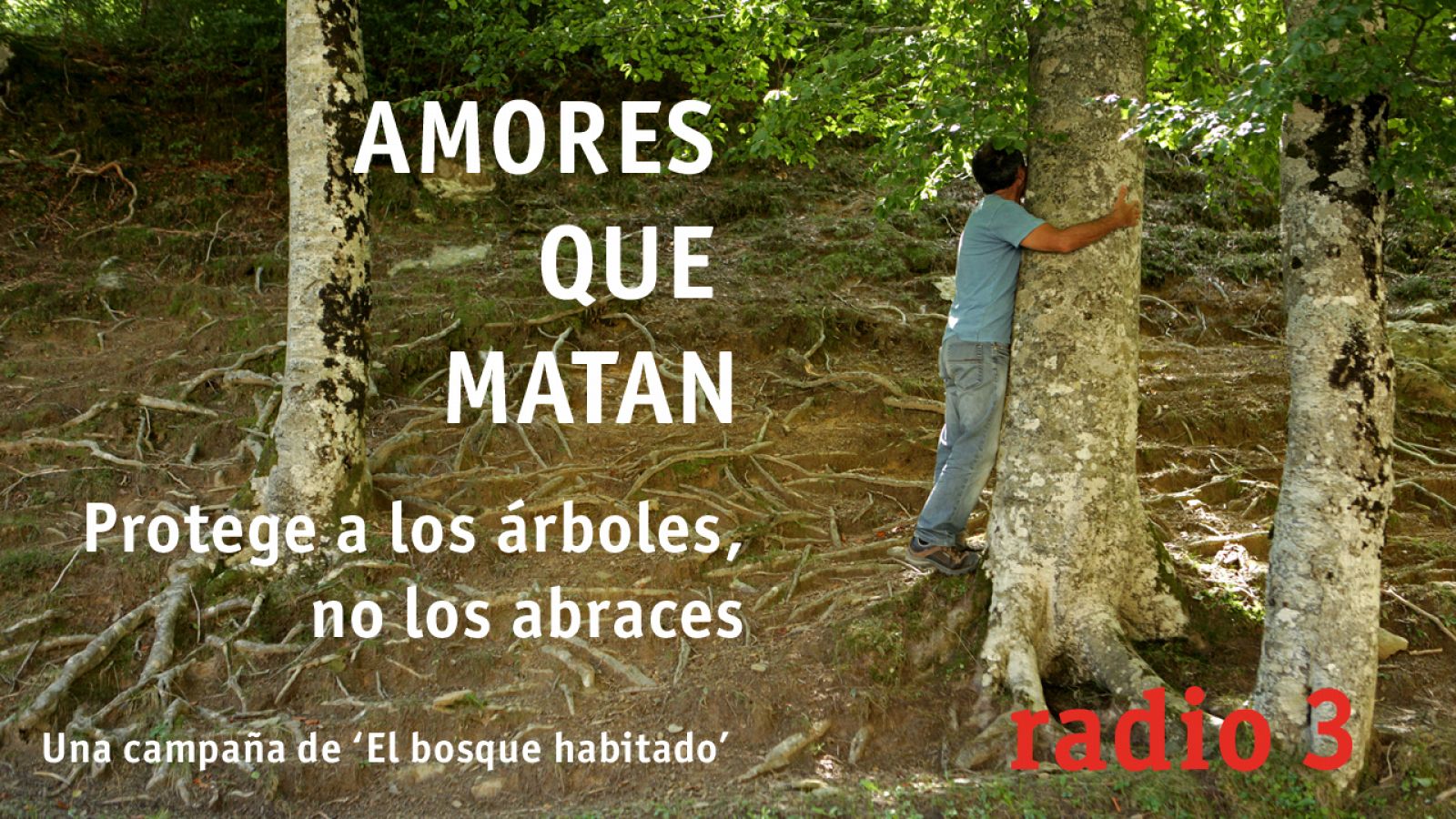 campaña Amores que matan abarzar arboles