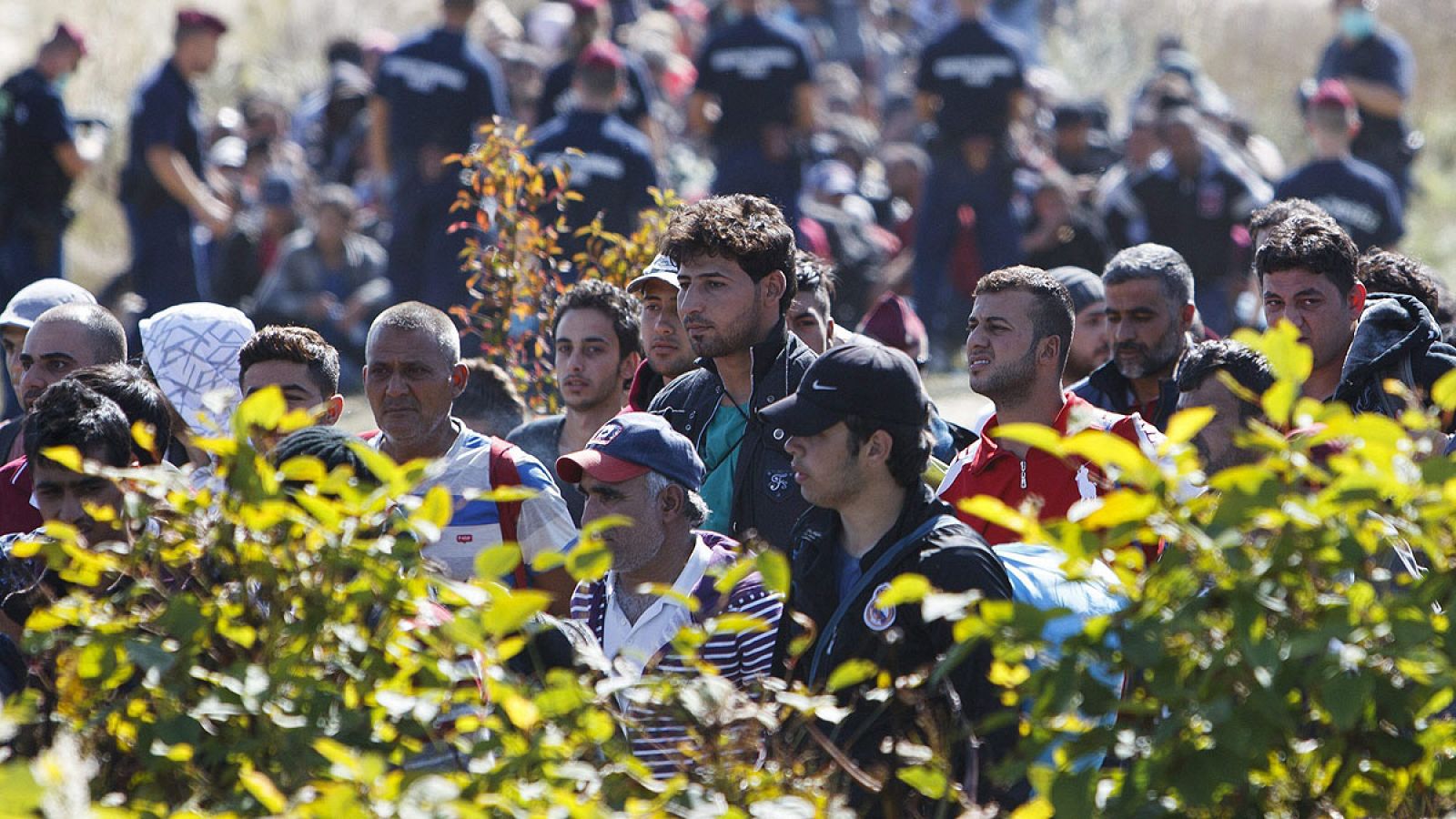 Policías húngaros vigilan a refugiados que han cruzado la frontera con Croacia, cerca de Zakany, Hungría, el 21 de septiembre del 2015, después de haber sido guiados por autoridades croatas desde el pueblo de Tovarnik. EFE/Gyorgy Varga