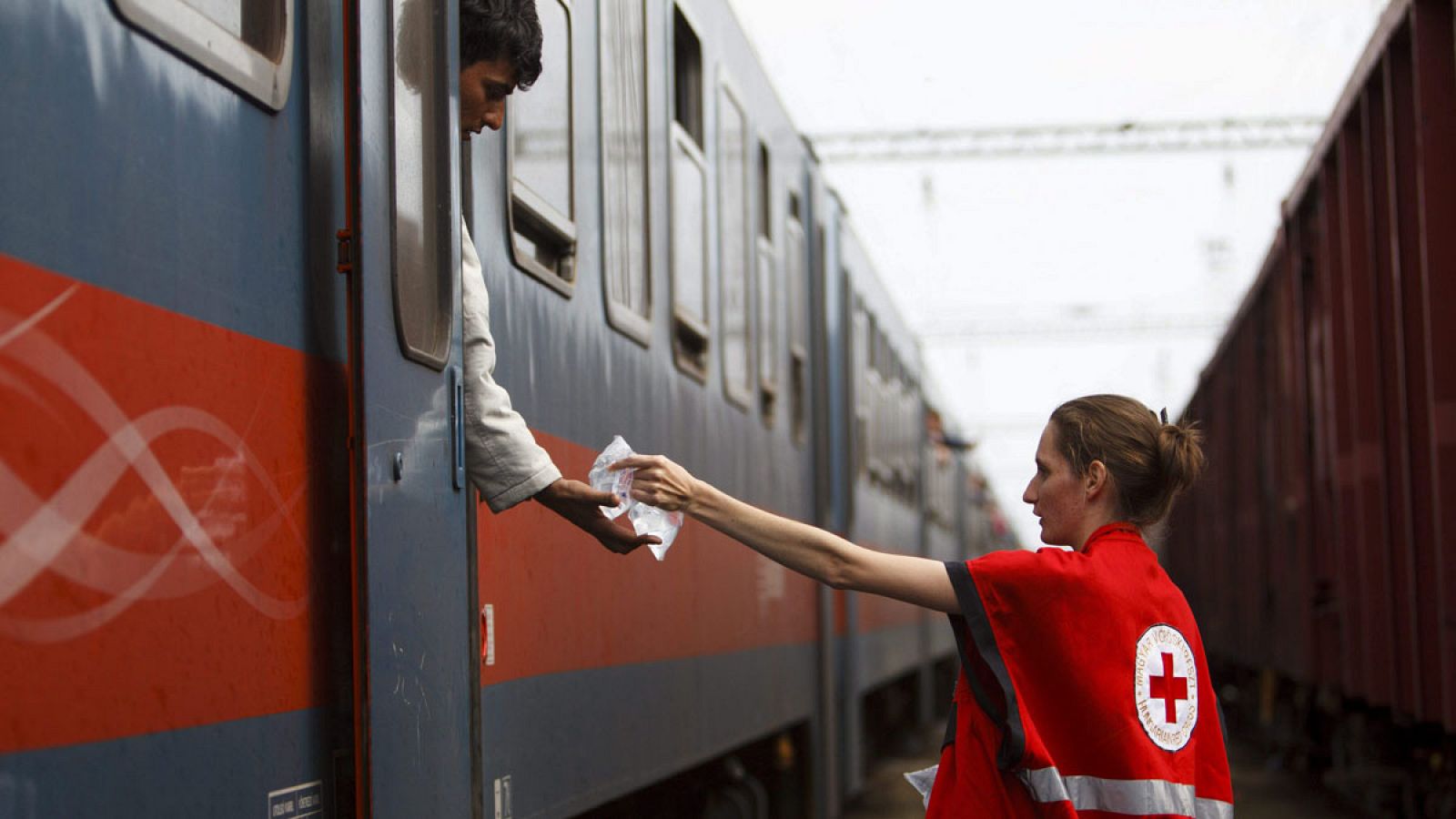 Activistas de la Cruz Roja entregan agua a refugiados en un tren que viajó de Tovarnik (Croacia) a Zakany, 230 kilómetros de Budapest (Hungría), el 22 de septiembre de 2015. EFE/GYORGY VARGA/PROHIBIDO SU USO EN HUNGRÍA