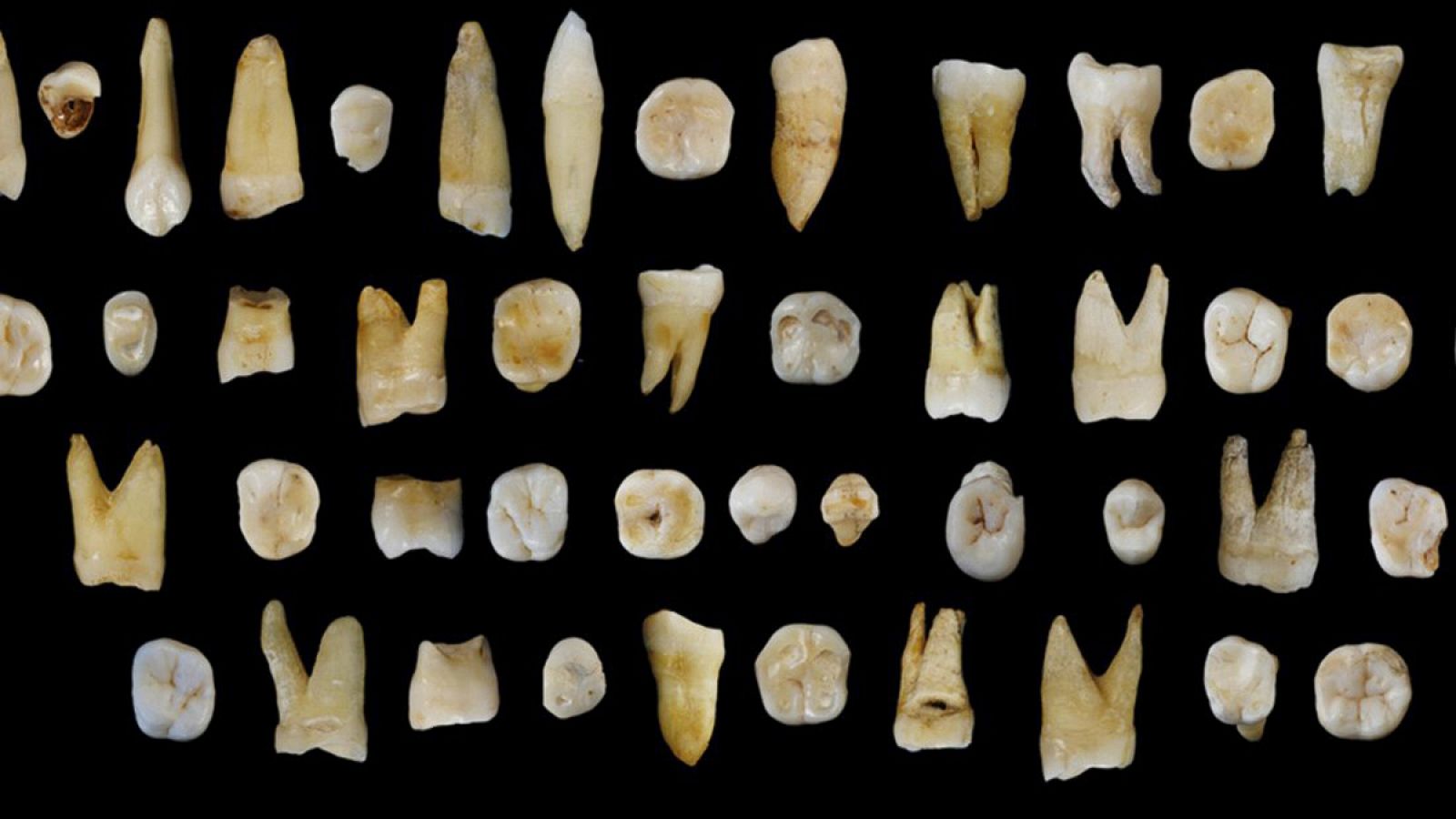 El hallazgo de los 47 dientes de Homo sapiens se produjo en la cueva de Daoxian Fuyan (China).