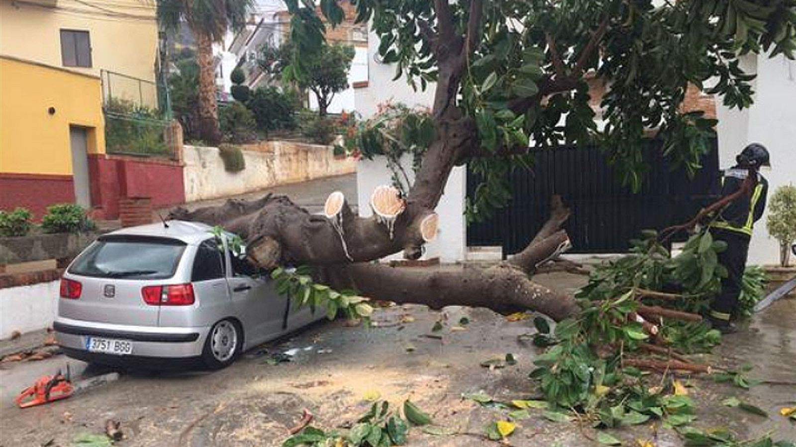 Proteción Civil de Alora (Málaga) retira un árbol caído sobre un turismo